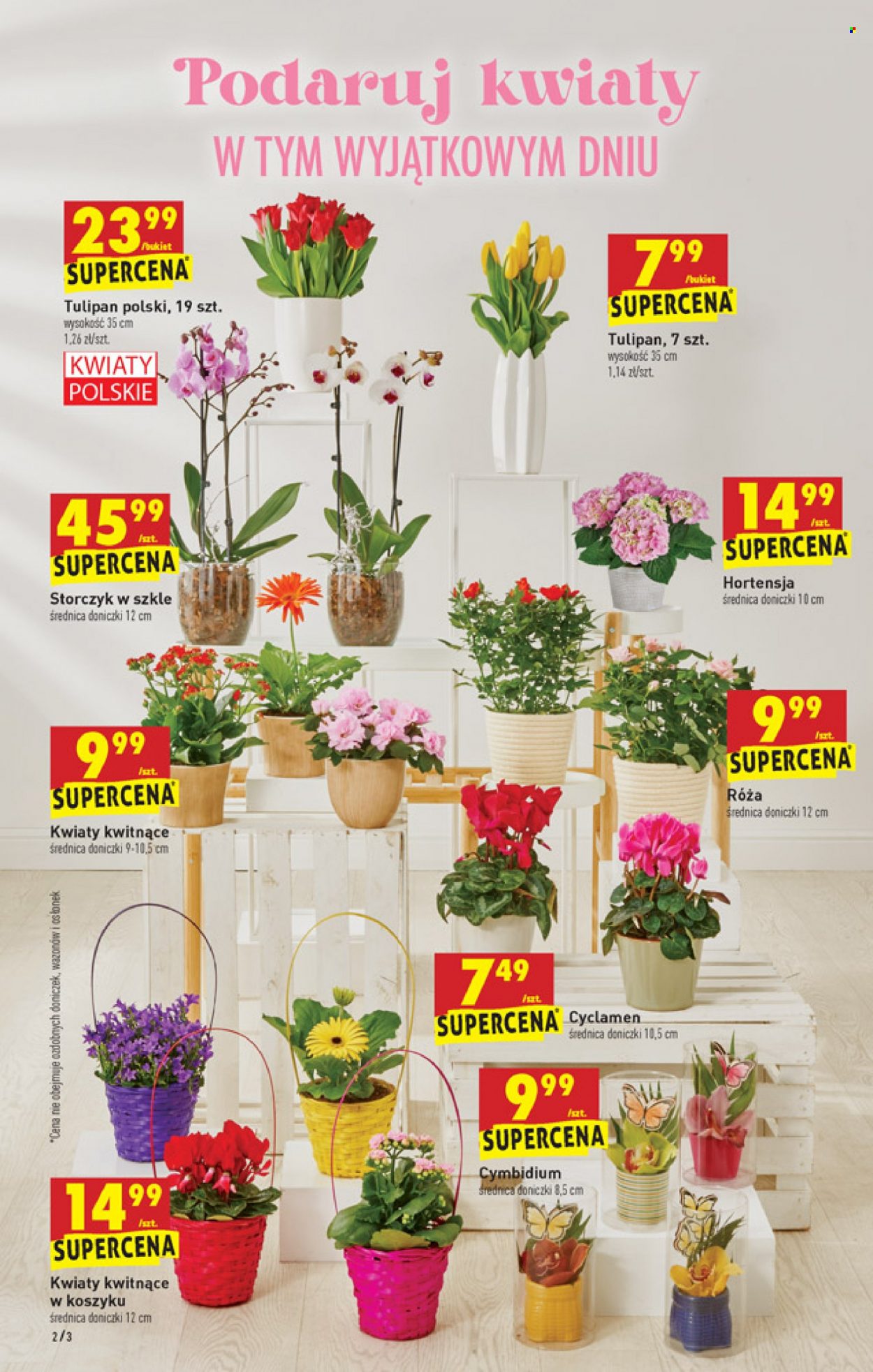 Gazetka Biedronka - 3.03.2022 - 9.03.2022. Strona 2