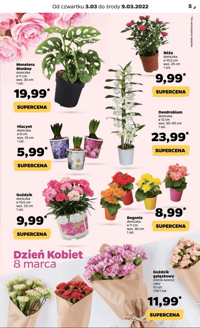 Gazetka Netto - 3.03.2022 - 9.03.2022. Strona 5