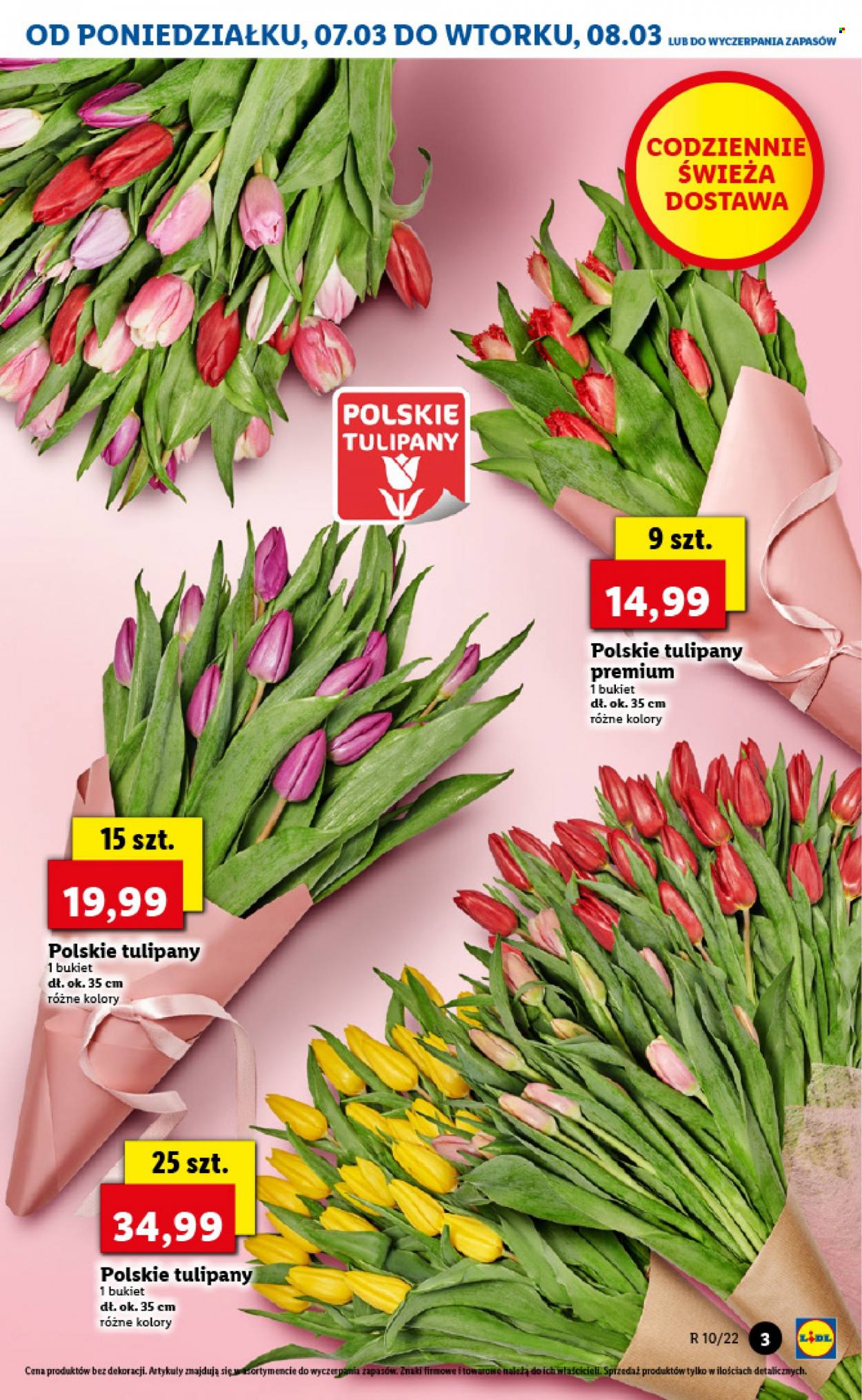Gazetka Lidl - 7.03.2022 - 9.03.2022. Strona 3