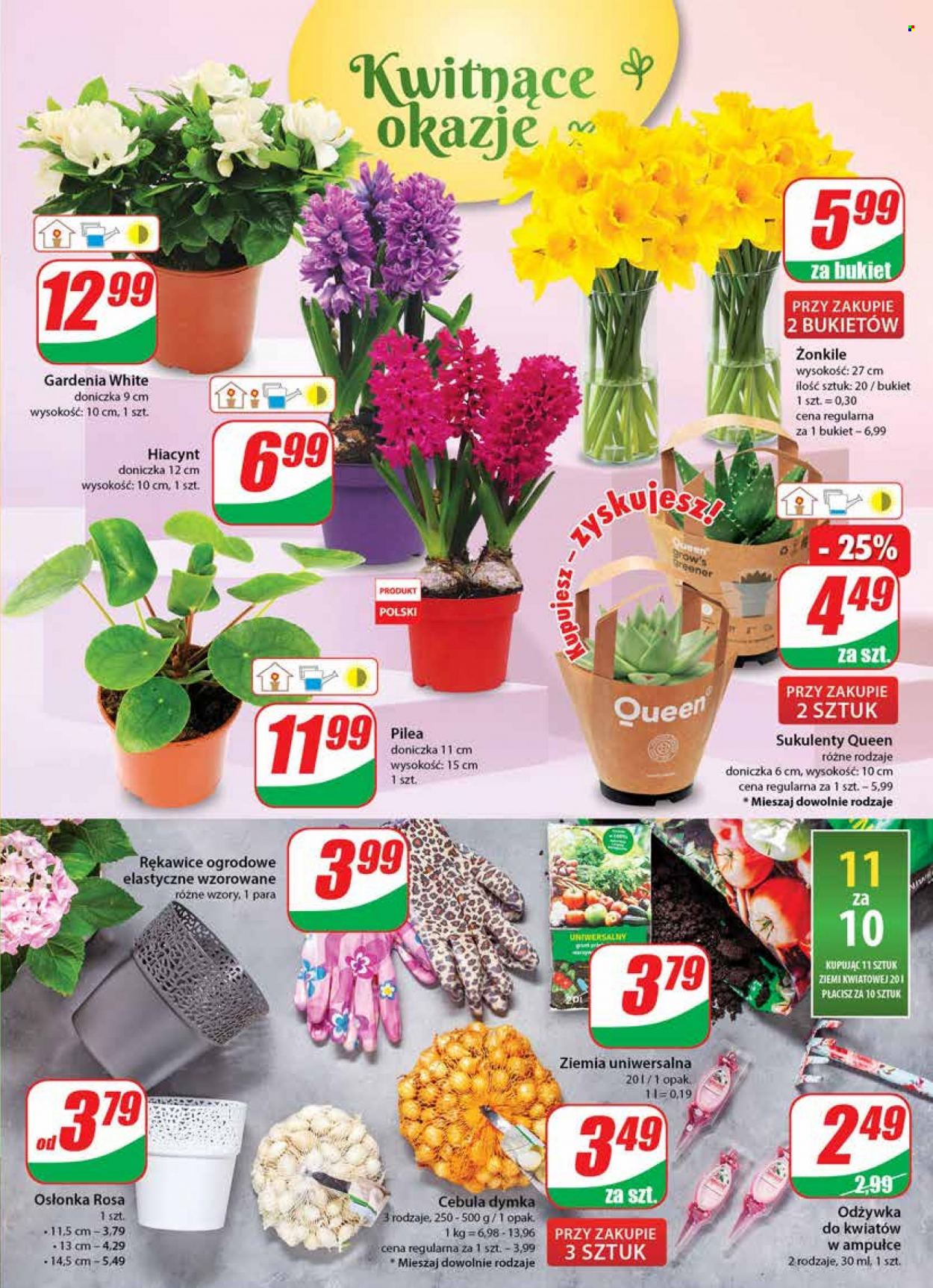Gazetka Dino - 9.03.2022 - 15.03.2022. Strona 19