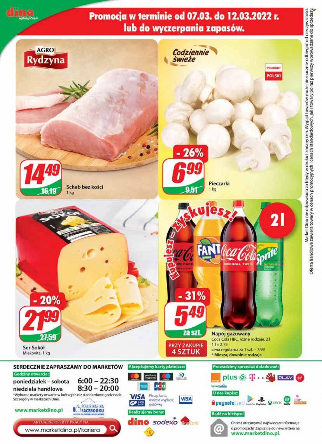 Gazetka Dino - 9.03.2022 - 15.03.2022. Strona 24