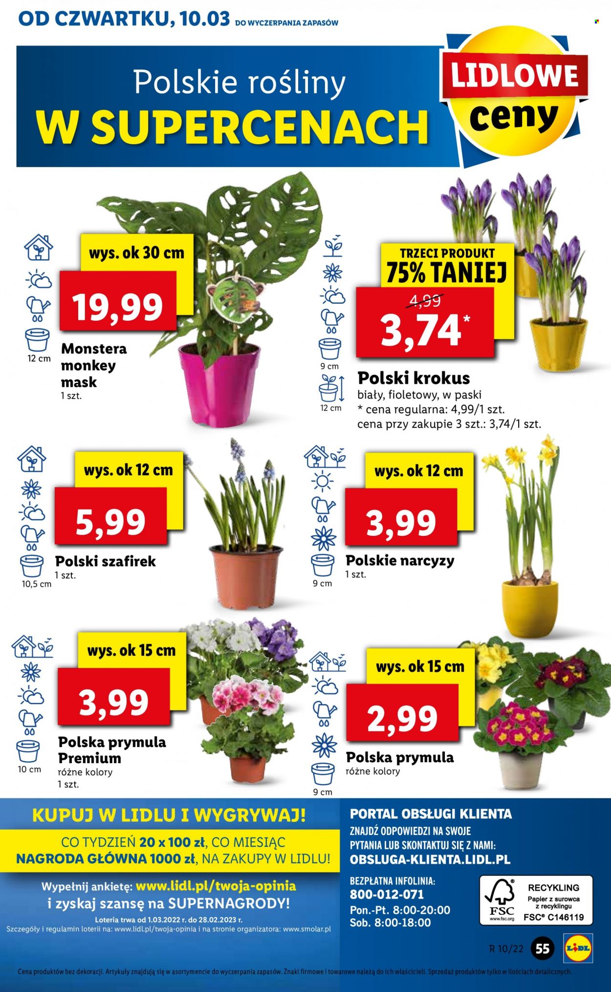 Gazetka Lidl - 10.03.2022 - 13.03.2022. Strona 55