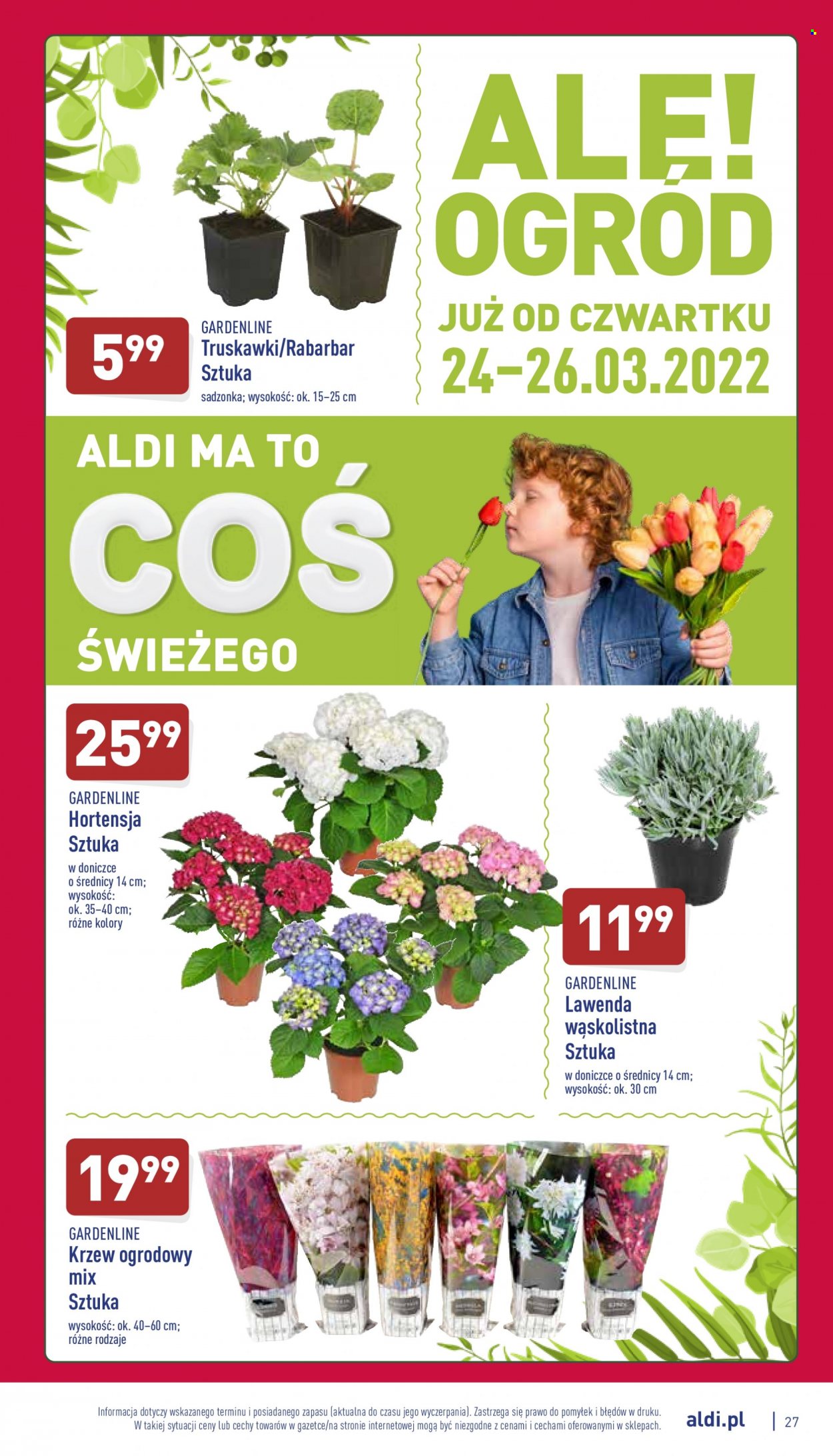 Gazetka ALDI - 21.03.2022 - 26.03.2022. Strona 27