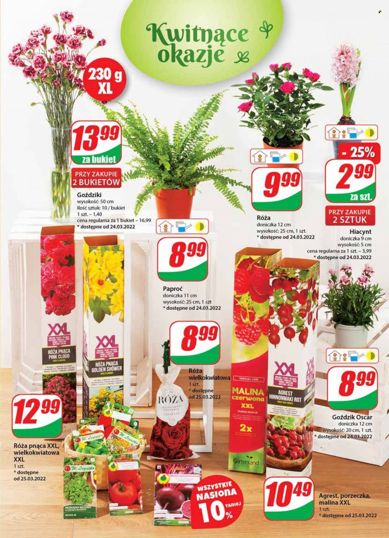 Gazetka Dino - 23.03.2022 - 29.03.2022. Strona 19