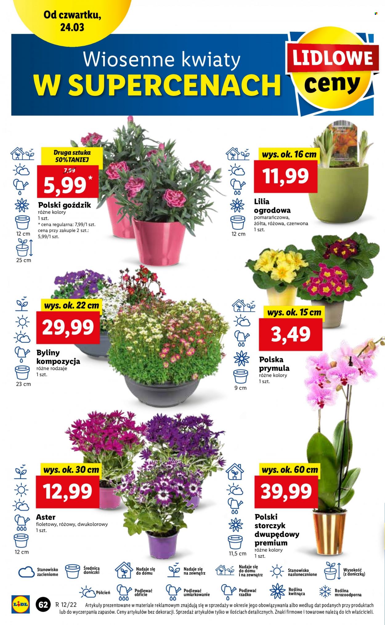 Gazetka Lidl - 24.03.2022 - 27.03.2022. Strona 62