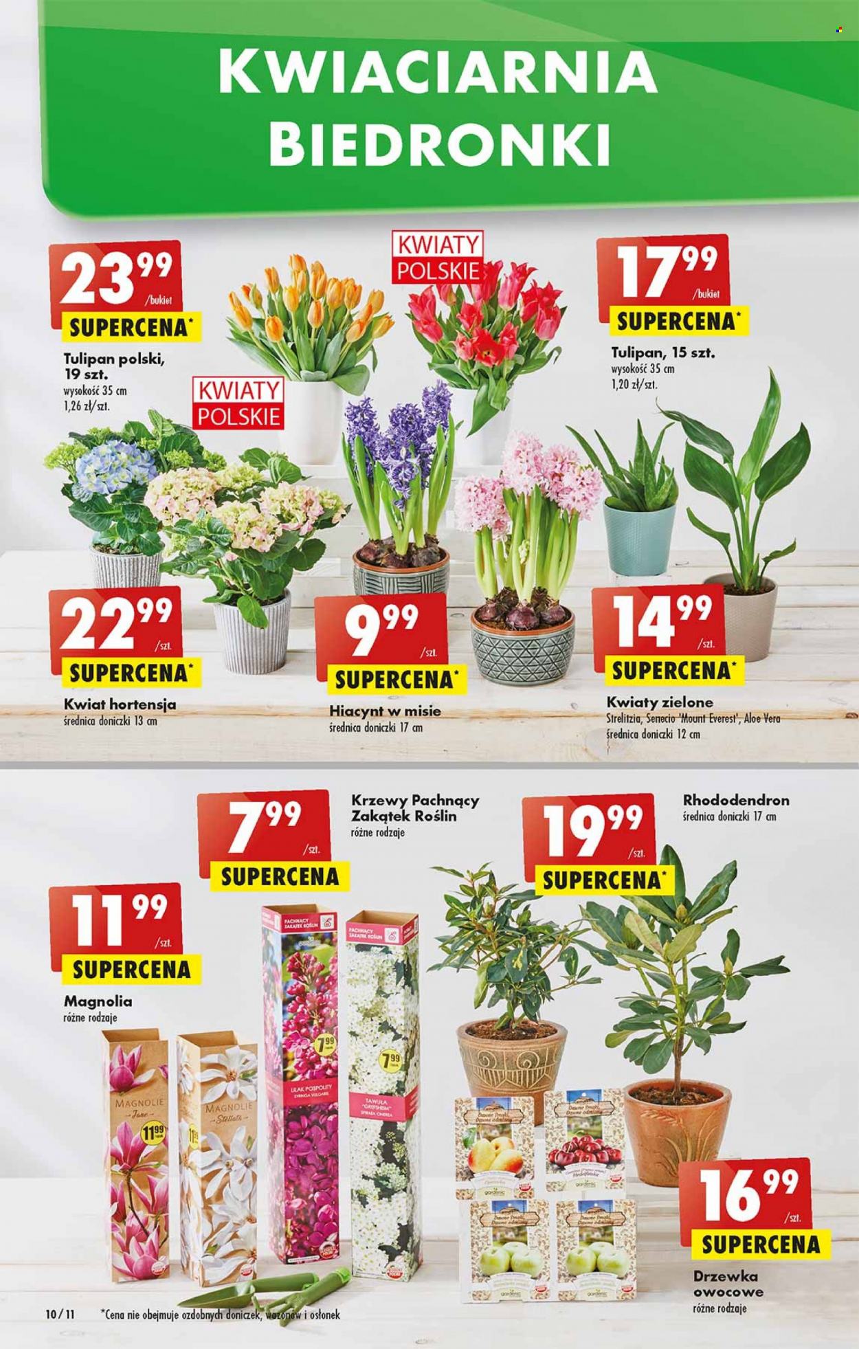 Gazetka Biedronka - 24.03.2022 - 30.03.2022. Strona 10