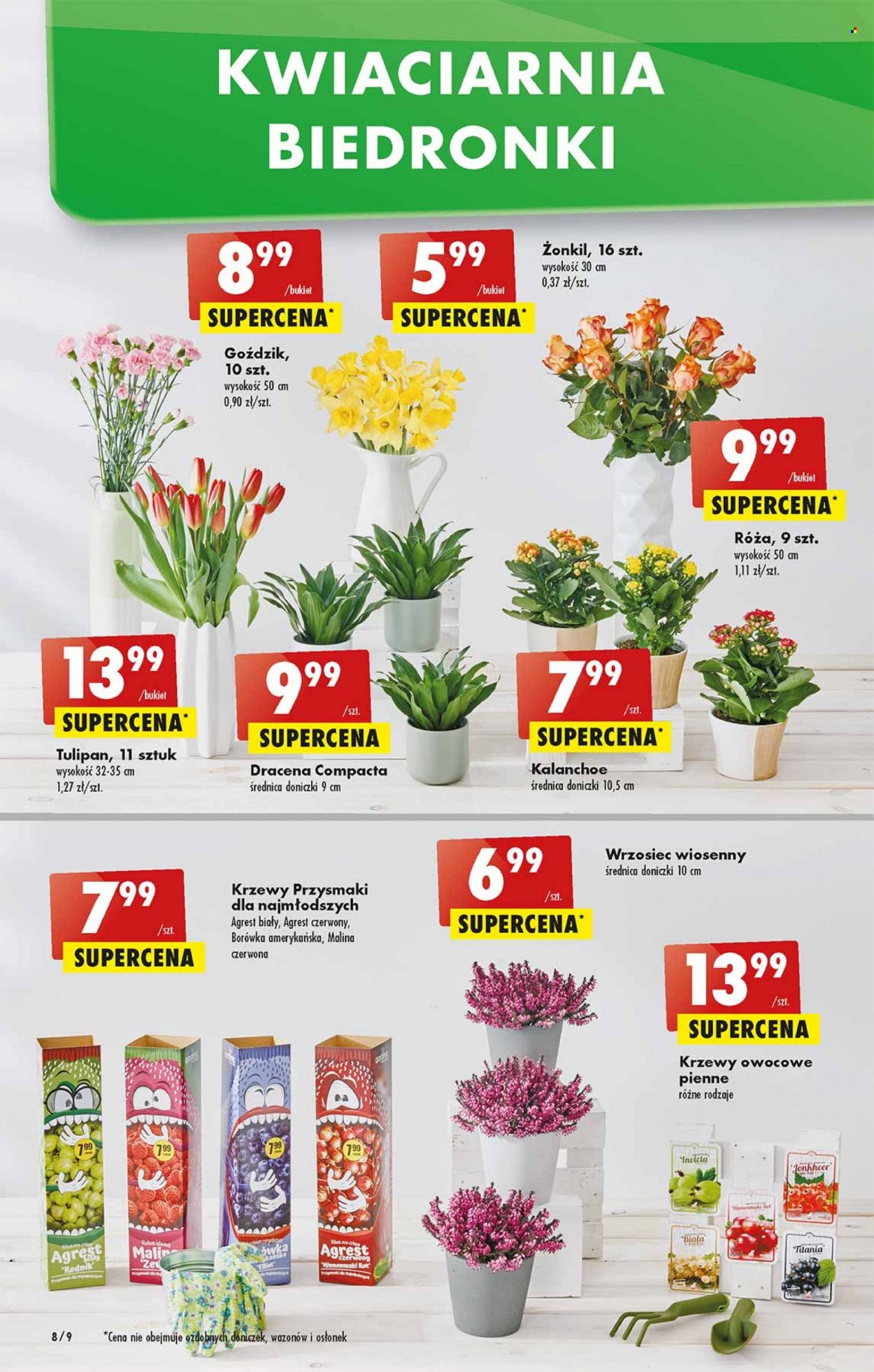 Gazetka Biedronka - 28.03.2022 - 2.04.2022. Strona 8