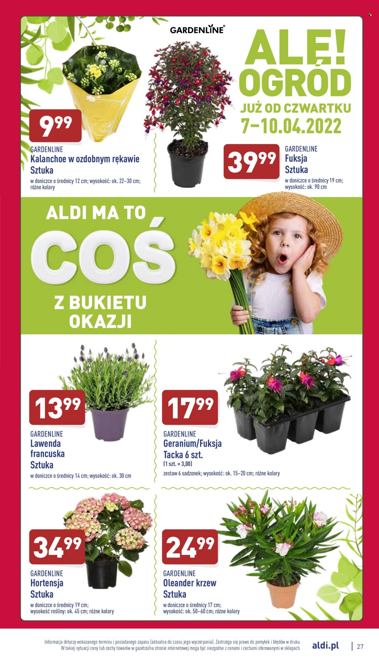 Gazetka ALDI - 4.04.2022 - 10.04.2022. Strona 27