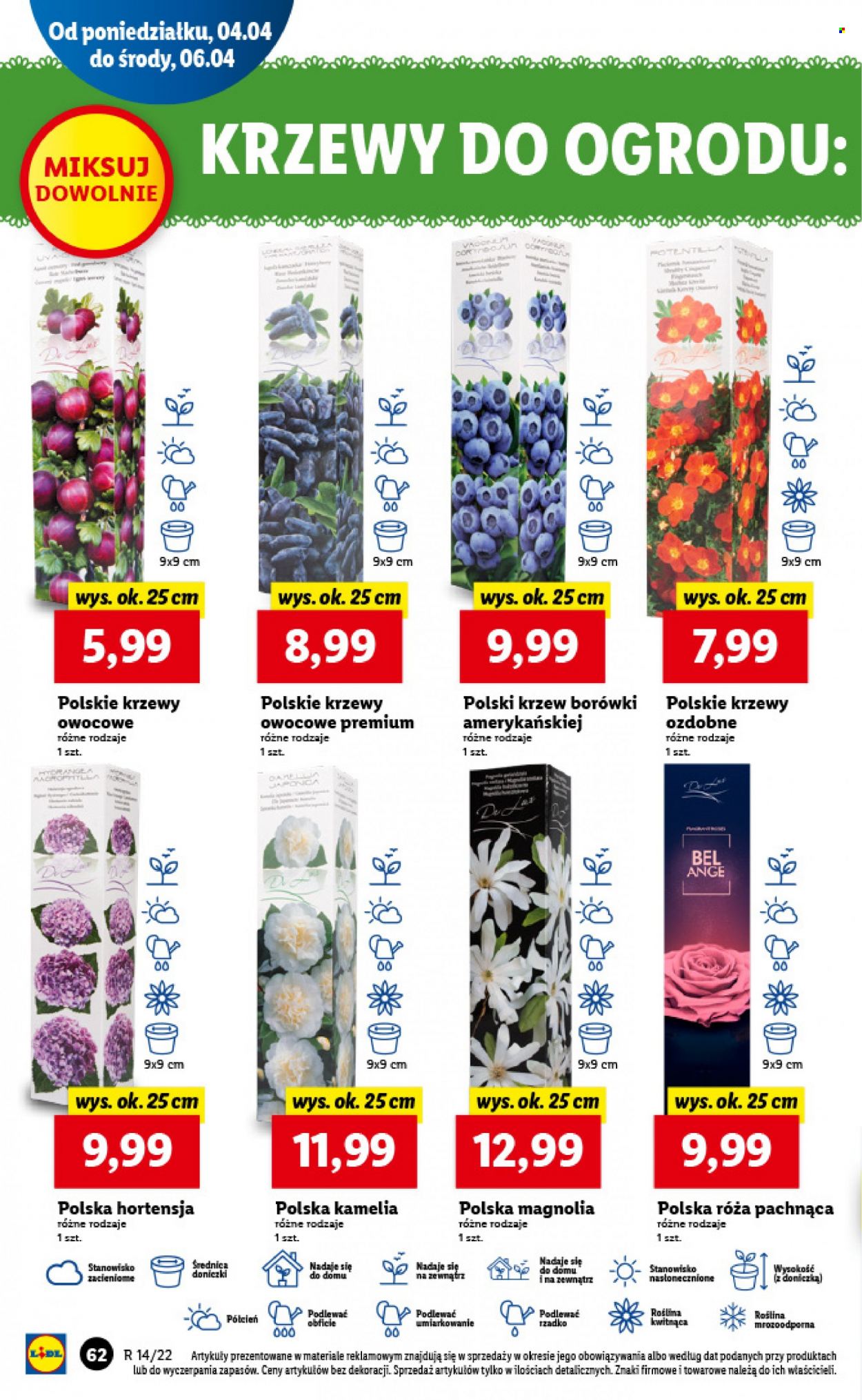 Gazetka Lidl - 4.04.2022 - 6.04.2022. Strona 62
