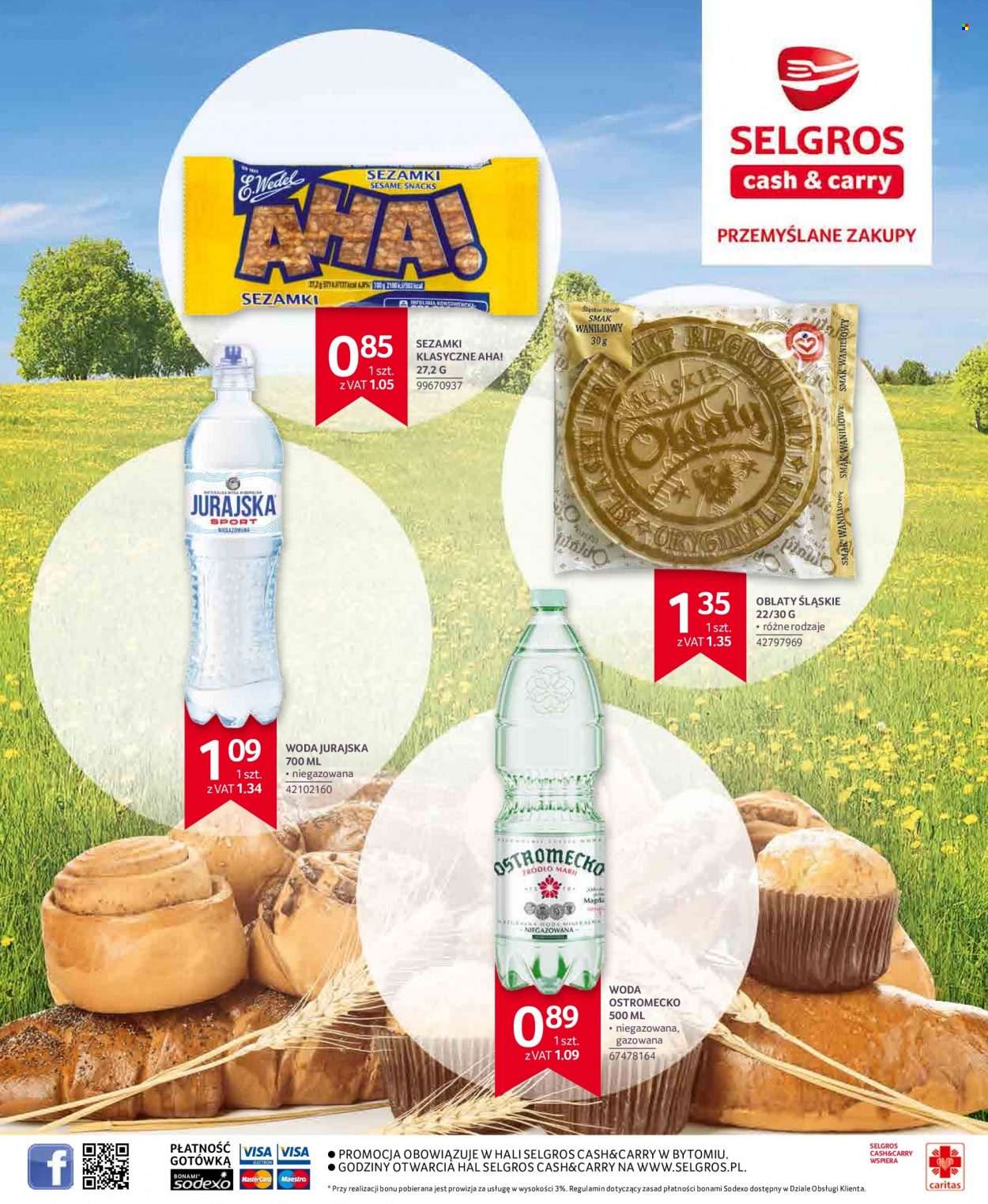 Gazetka Selgros - 7.04.2022 - 16.04.2022. Strona 49
