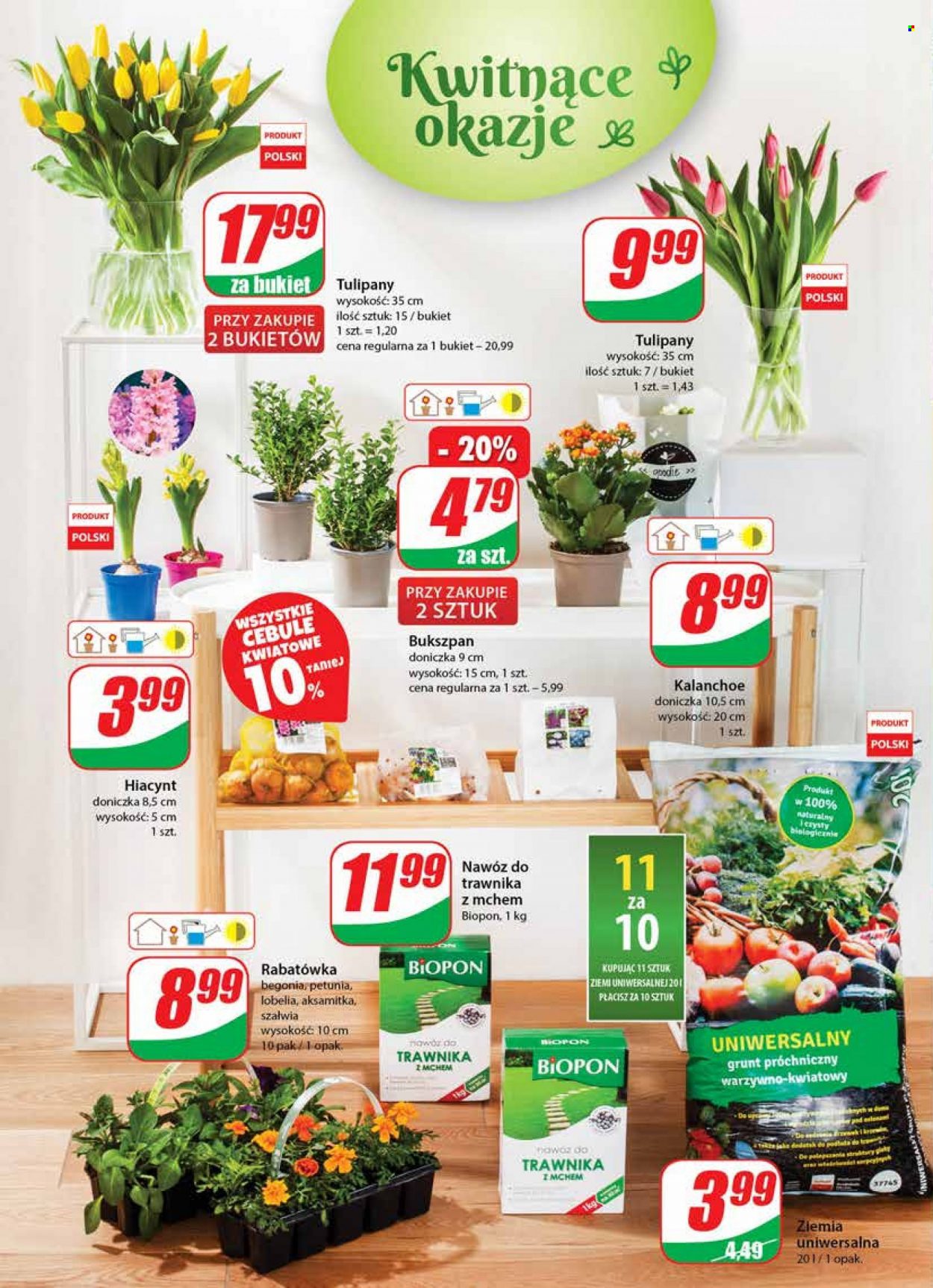 Gazetka Dino - 6.04.2022 - 12.04.2022. Strona 24