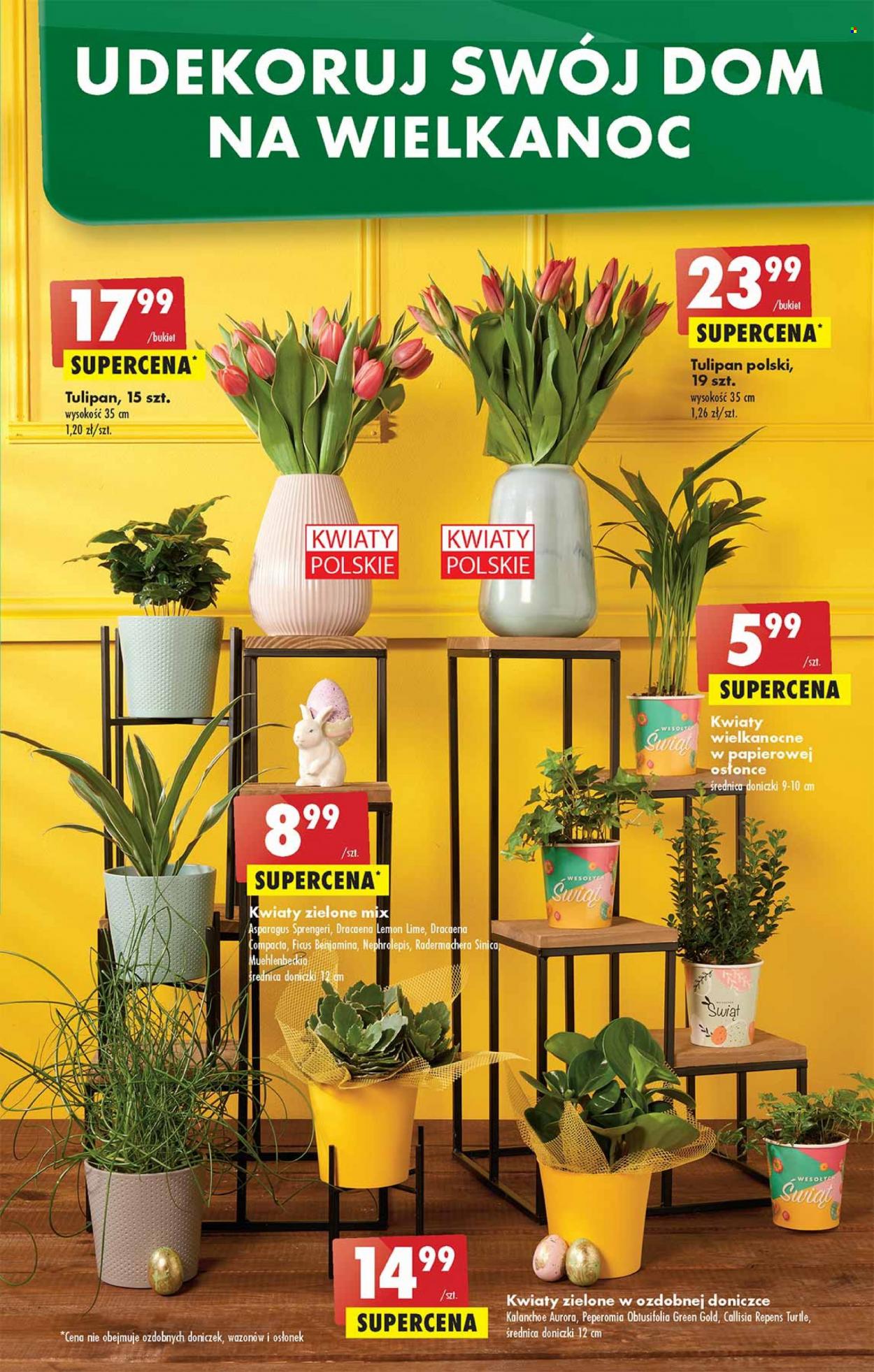 Gazetka Biedronka - 7.04.2022 - 13.04.2022. Strona 61