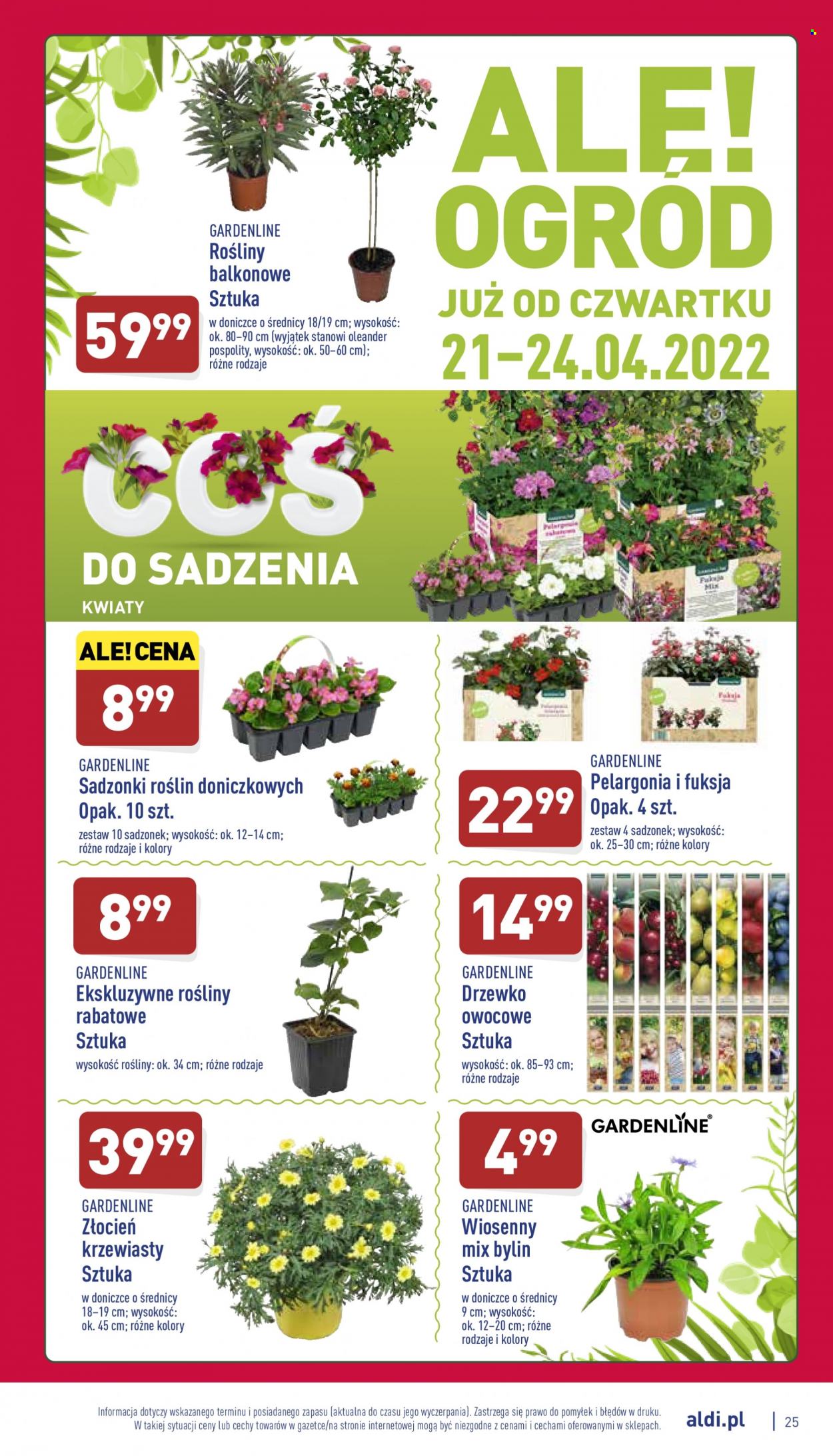 Gazetka ALDI - 19.04.2022 - 24.04.2022. Strona 25
