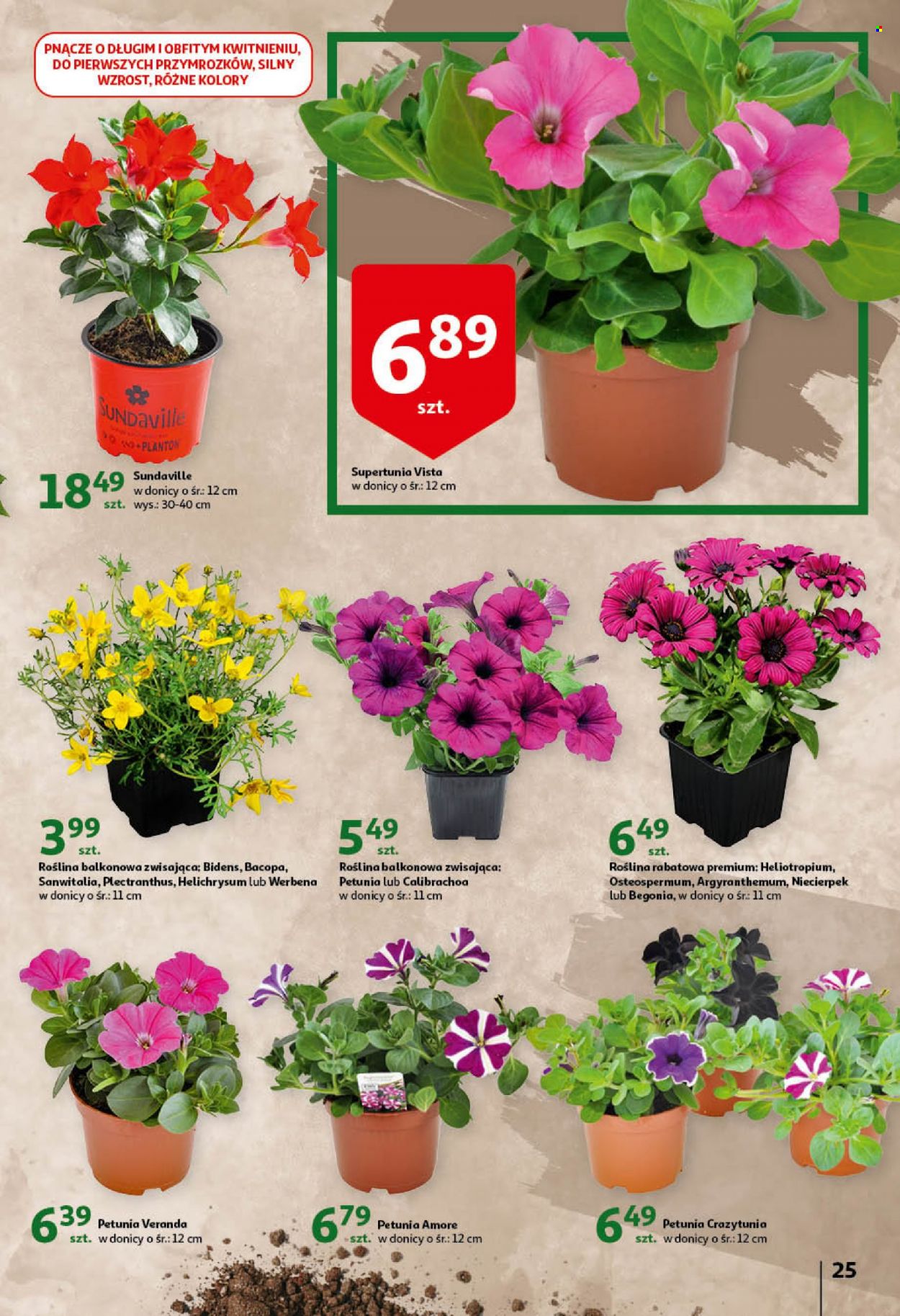 Gazetka Auchan - 21.04.2022 - 27.04.2022. Strona 25