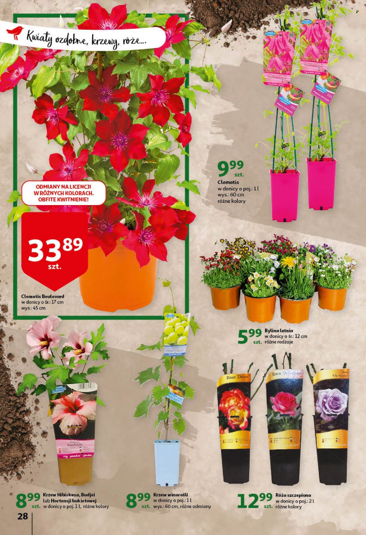 Gazetka Auchan - 21.04.2022 - 27.04.2022. Strona 28