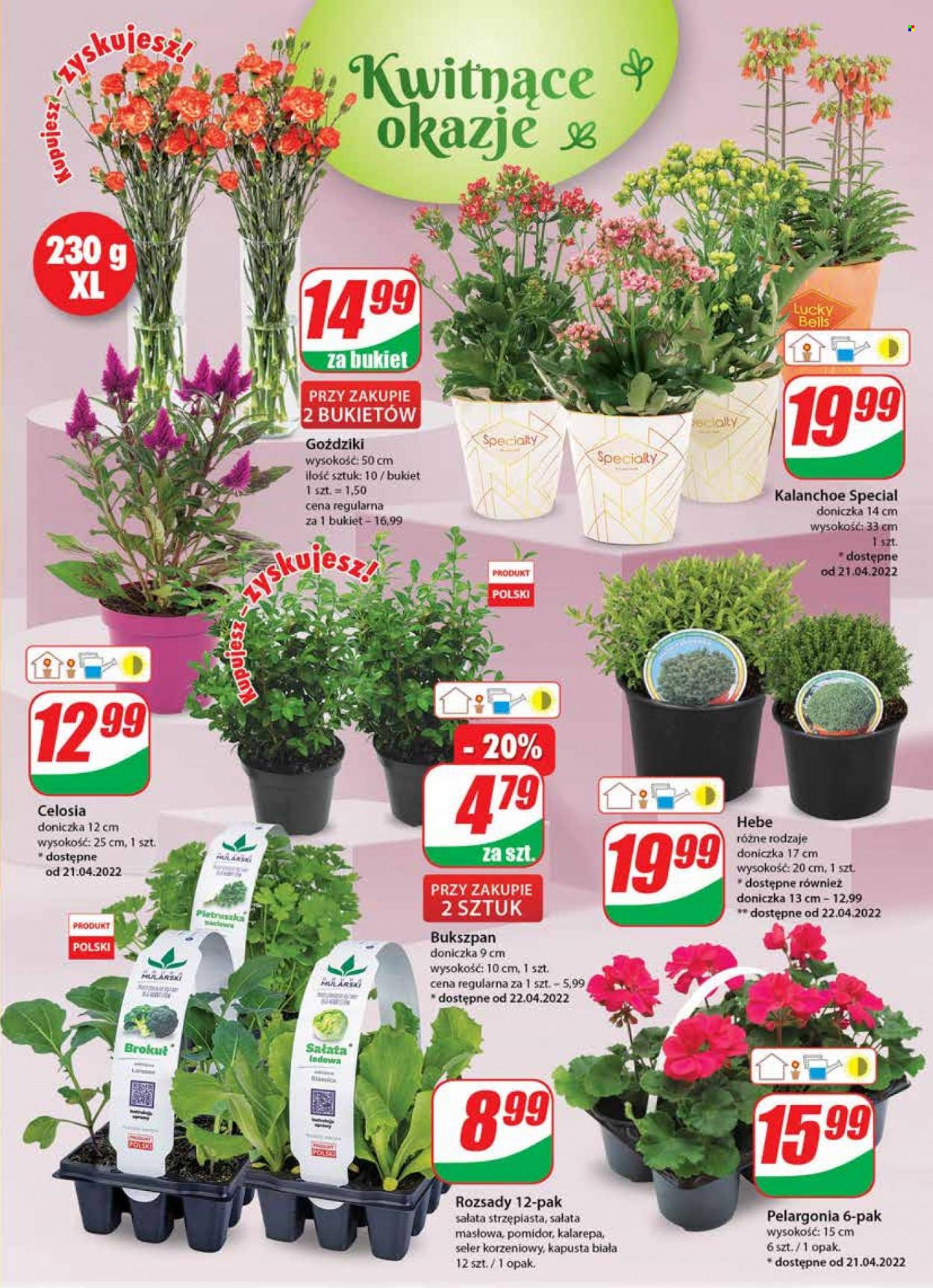 Gazetka Dino - 20.04.2022 - 26.04.2022. Strona 19