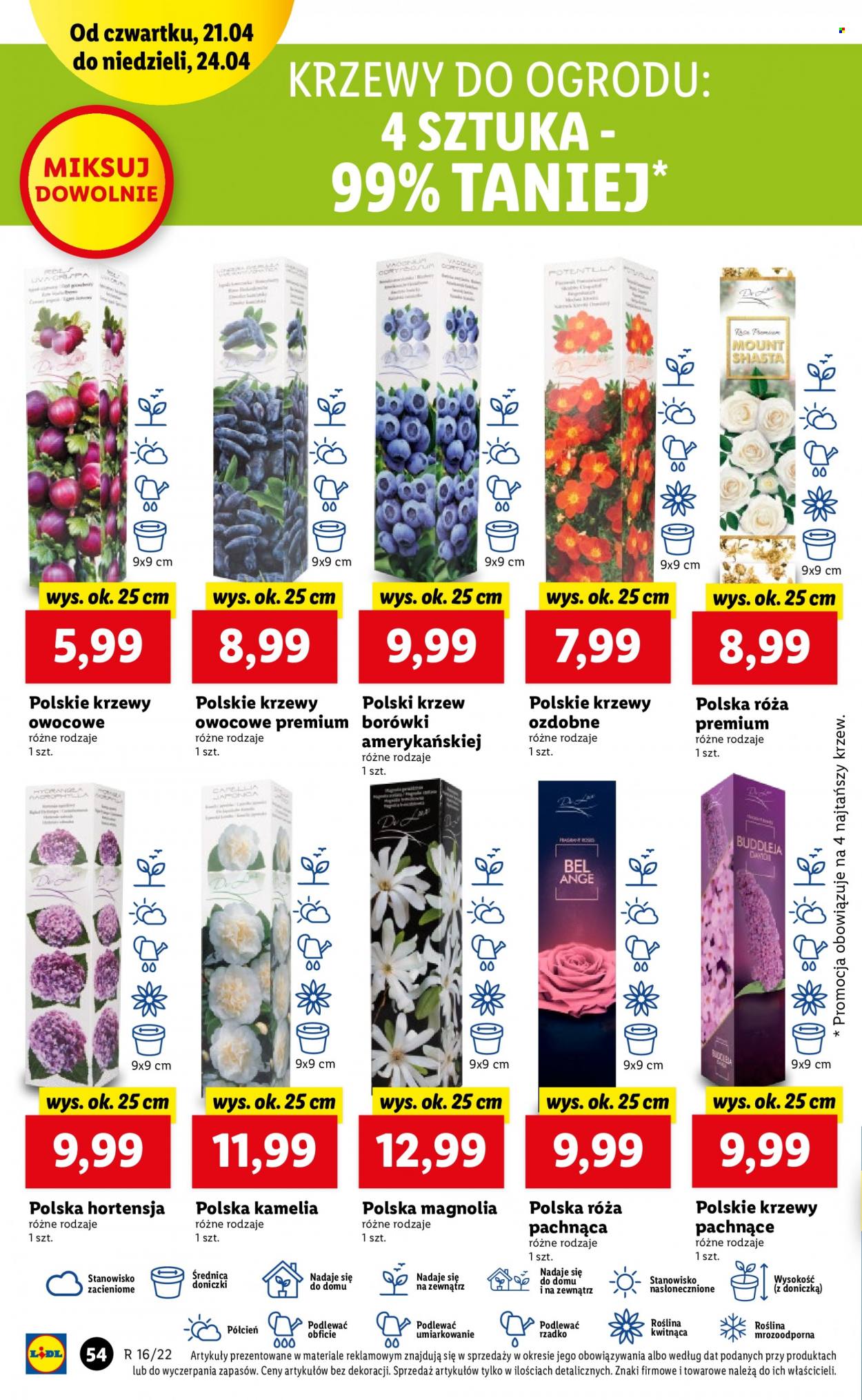 Gazetka Lidl - 21.04.2022 - 24.04.2022. Strona 54