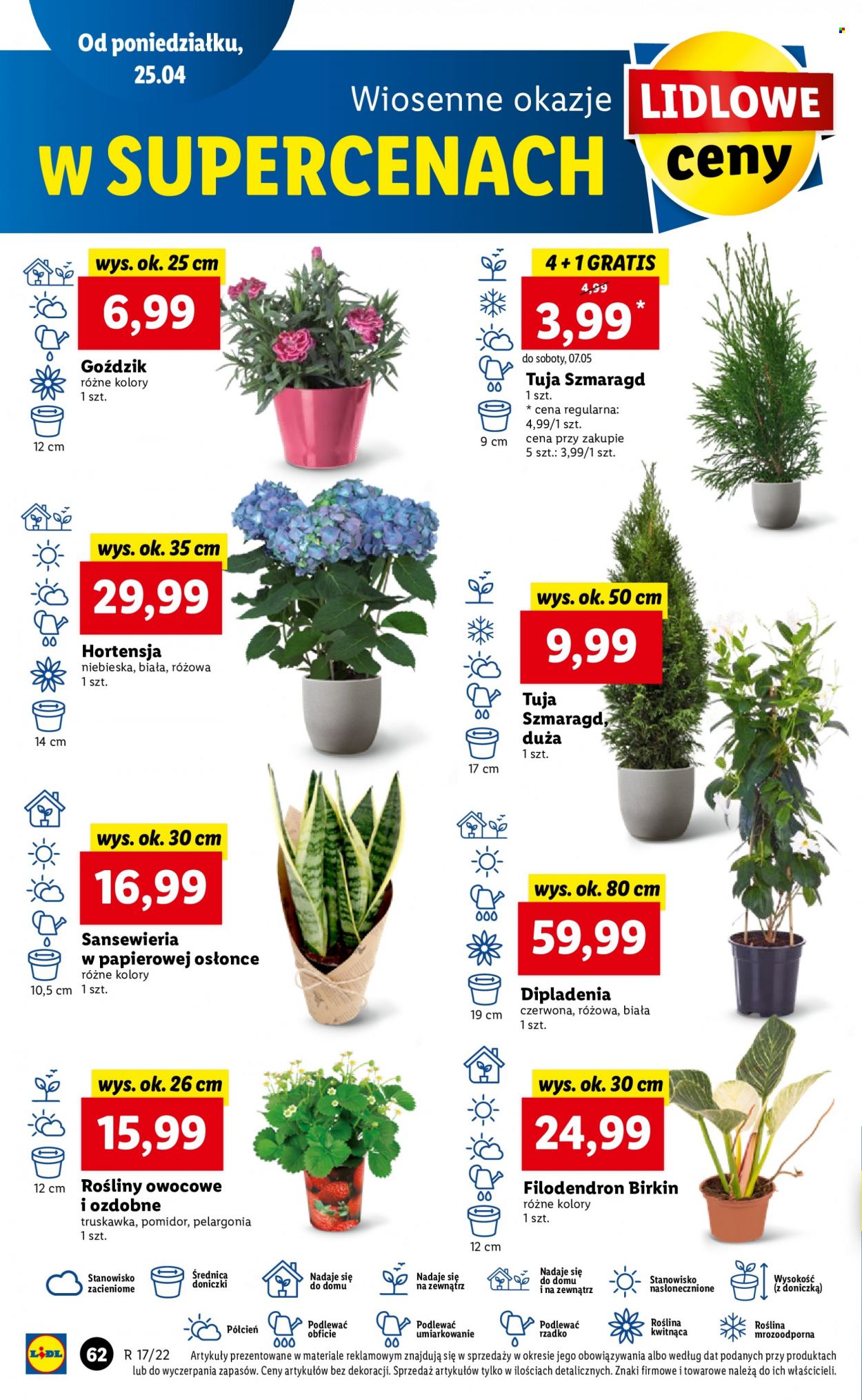 Gazetka Lidl - 25.04.2022 - 27.04.2022. Strona 62