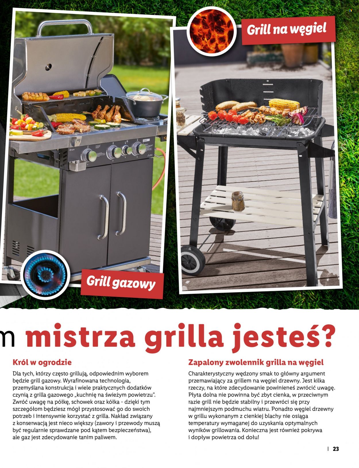 Gazetka Lidl. Strona 23