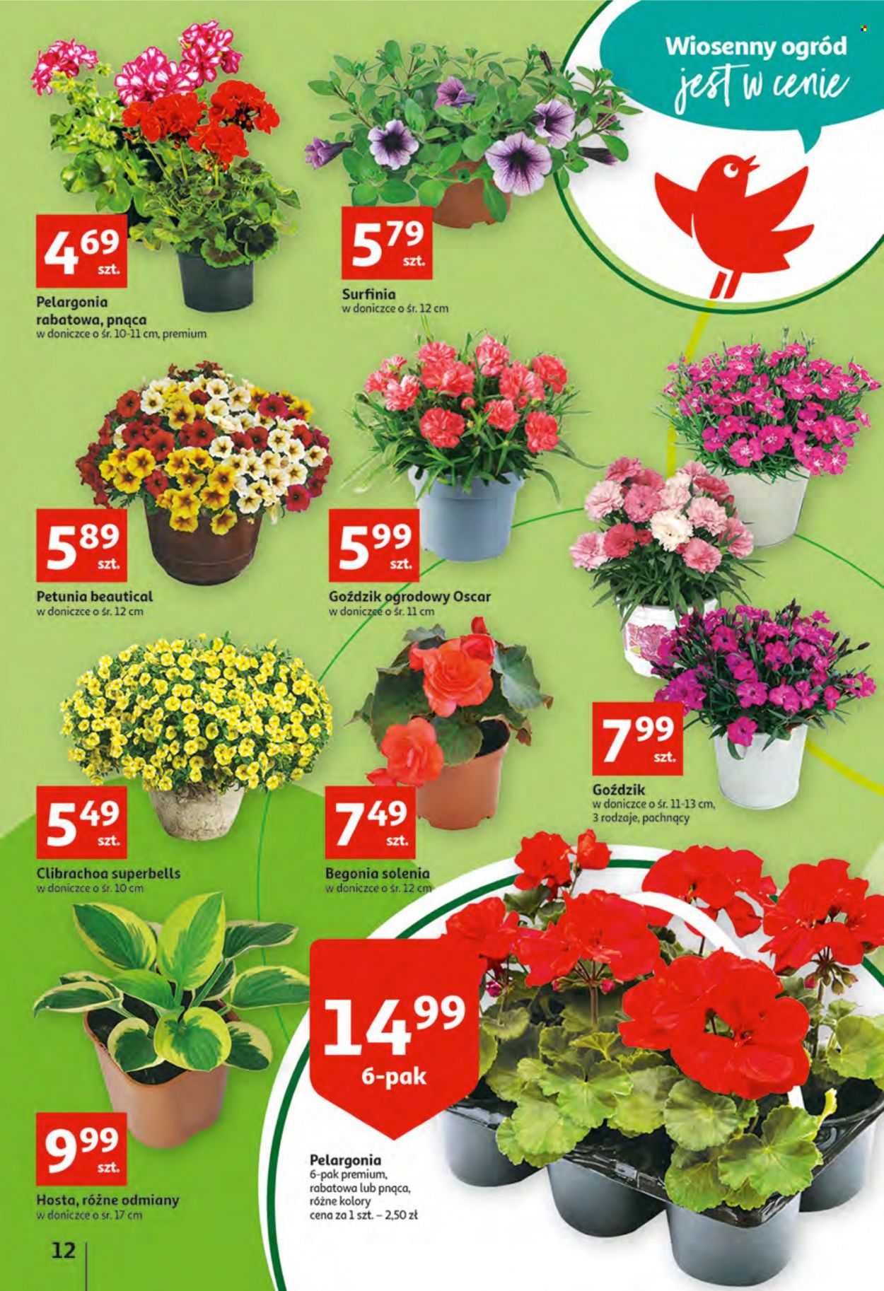 Gazetka Auchan - 28.04.2022 - 4.05.2022. Strona 12