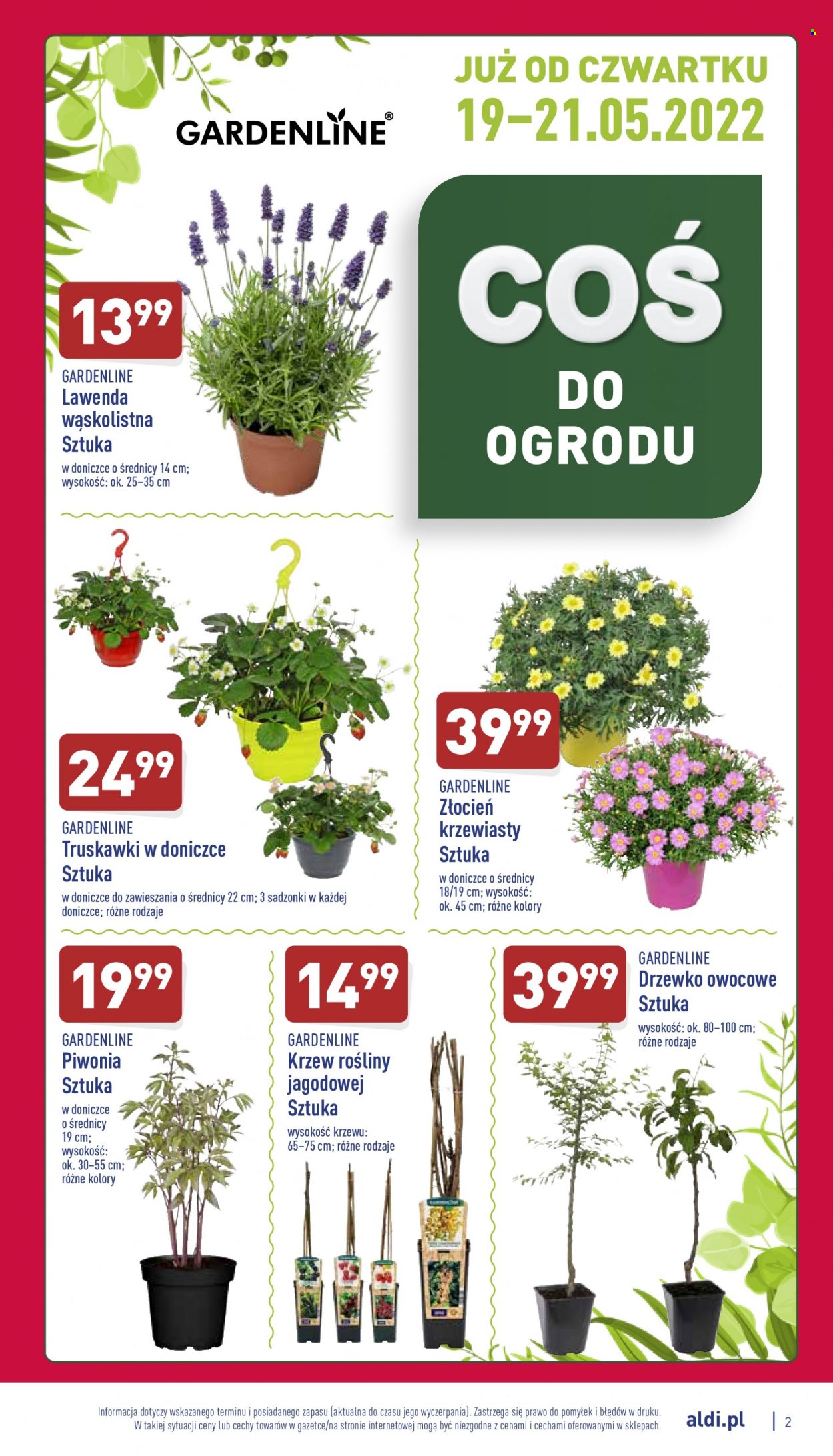 Gazetka ALDI - 16.05.2022 - 21.05.2022. Strona 2
