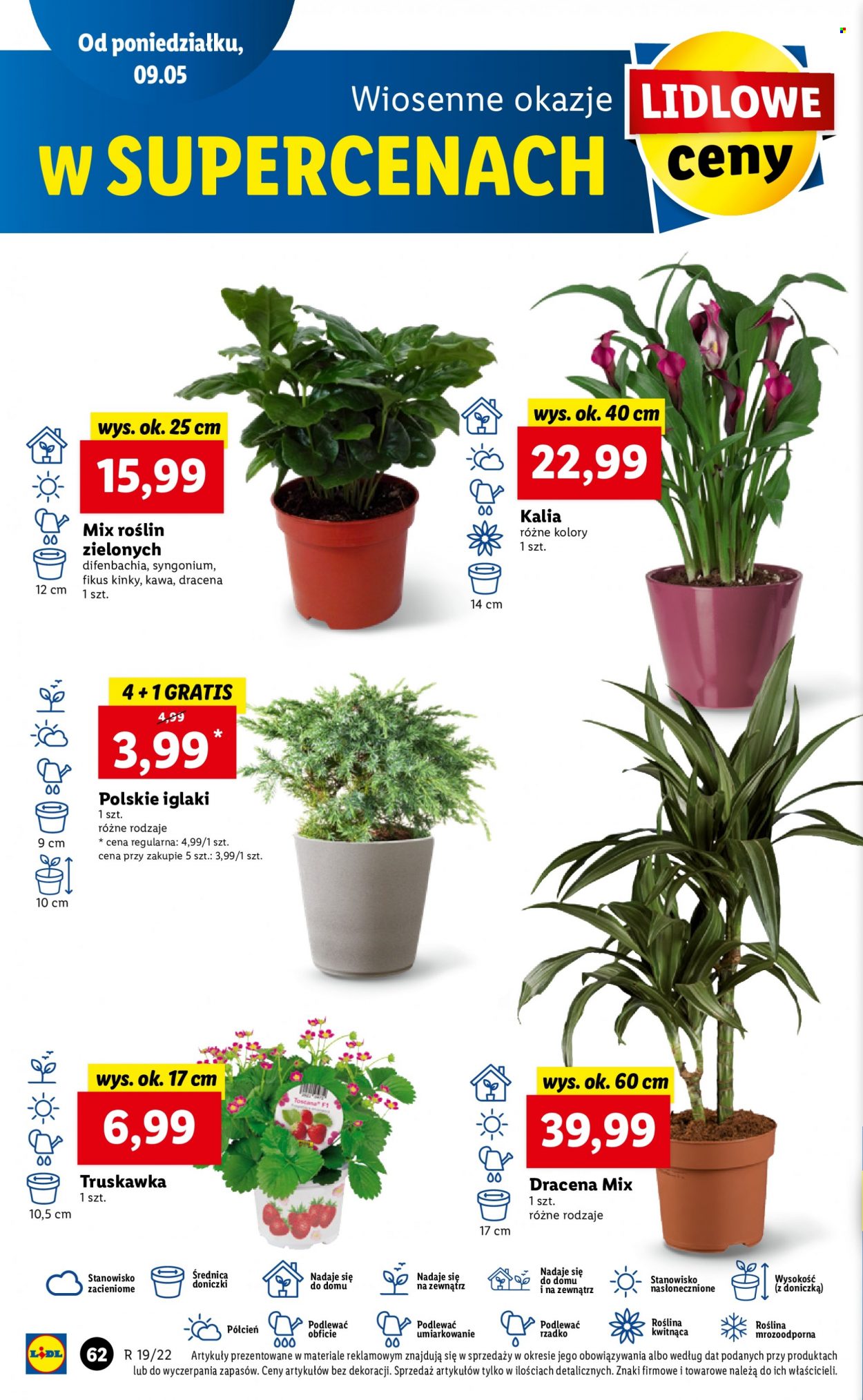 Gazetka Lidl - 9.05.2022 - 11.05.2022. Strona 62
