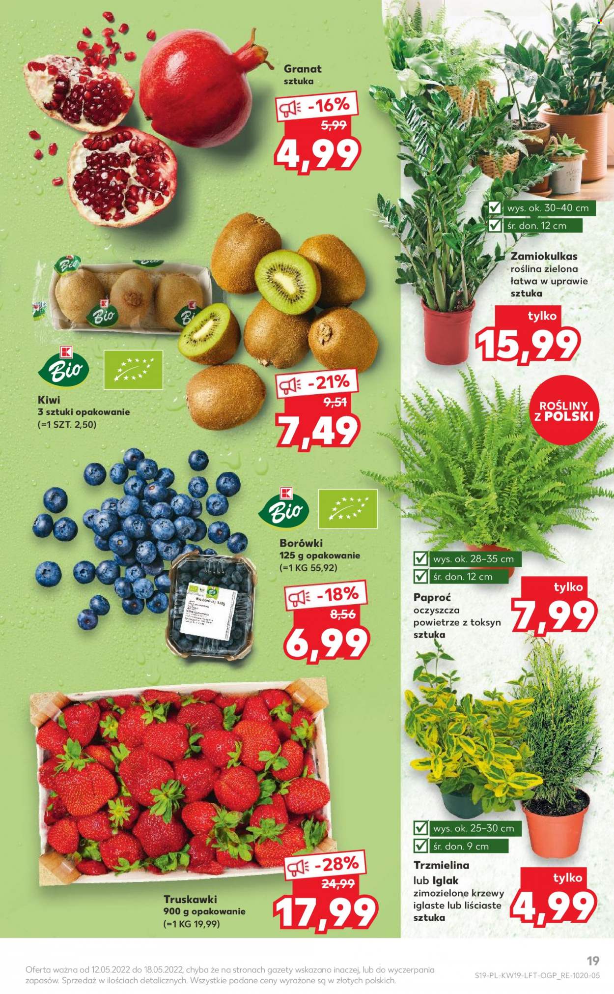Gazetka Kaufland - 12.05.2022 - 18.05.2022. Strona 19