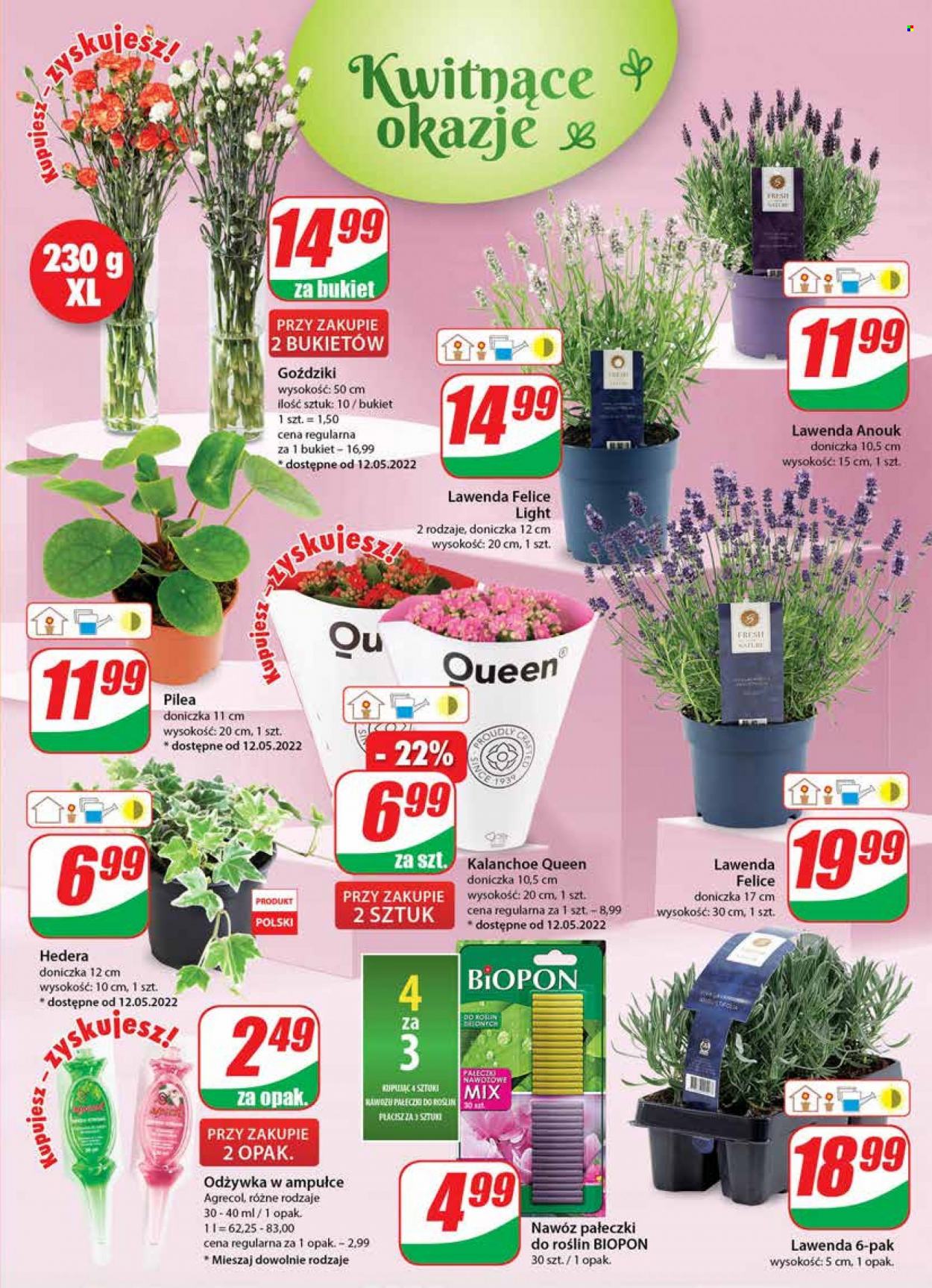 Gazetka Dino - 11.05.2022 - 17.05.2022. Strona 19