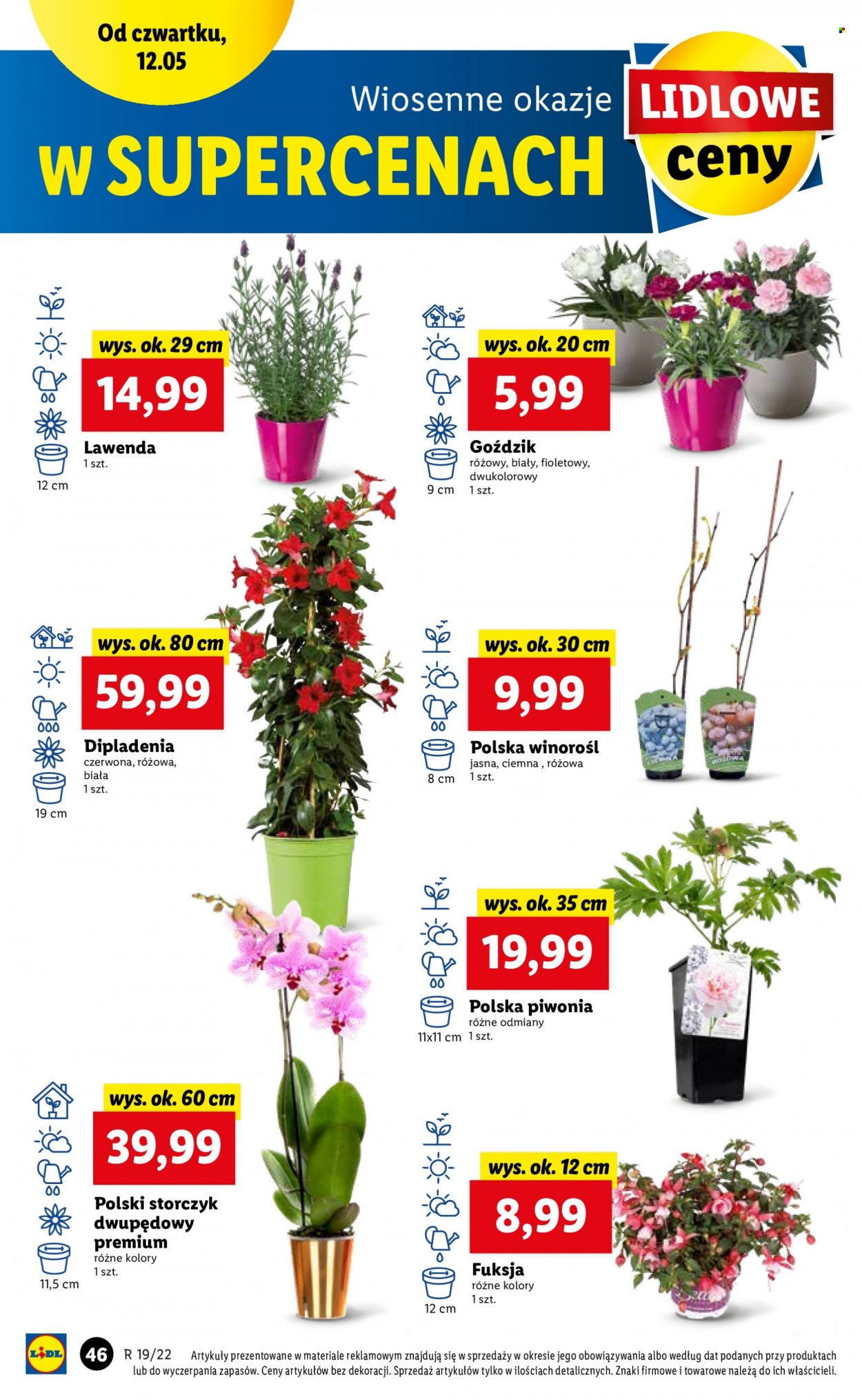 Gazetka Lidl - 12.05.2022 - 14.05.2022. Strona 46