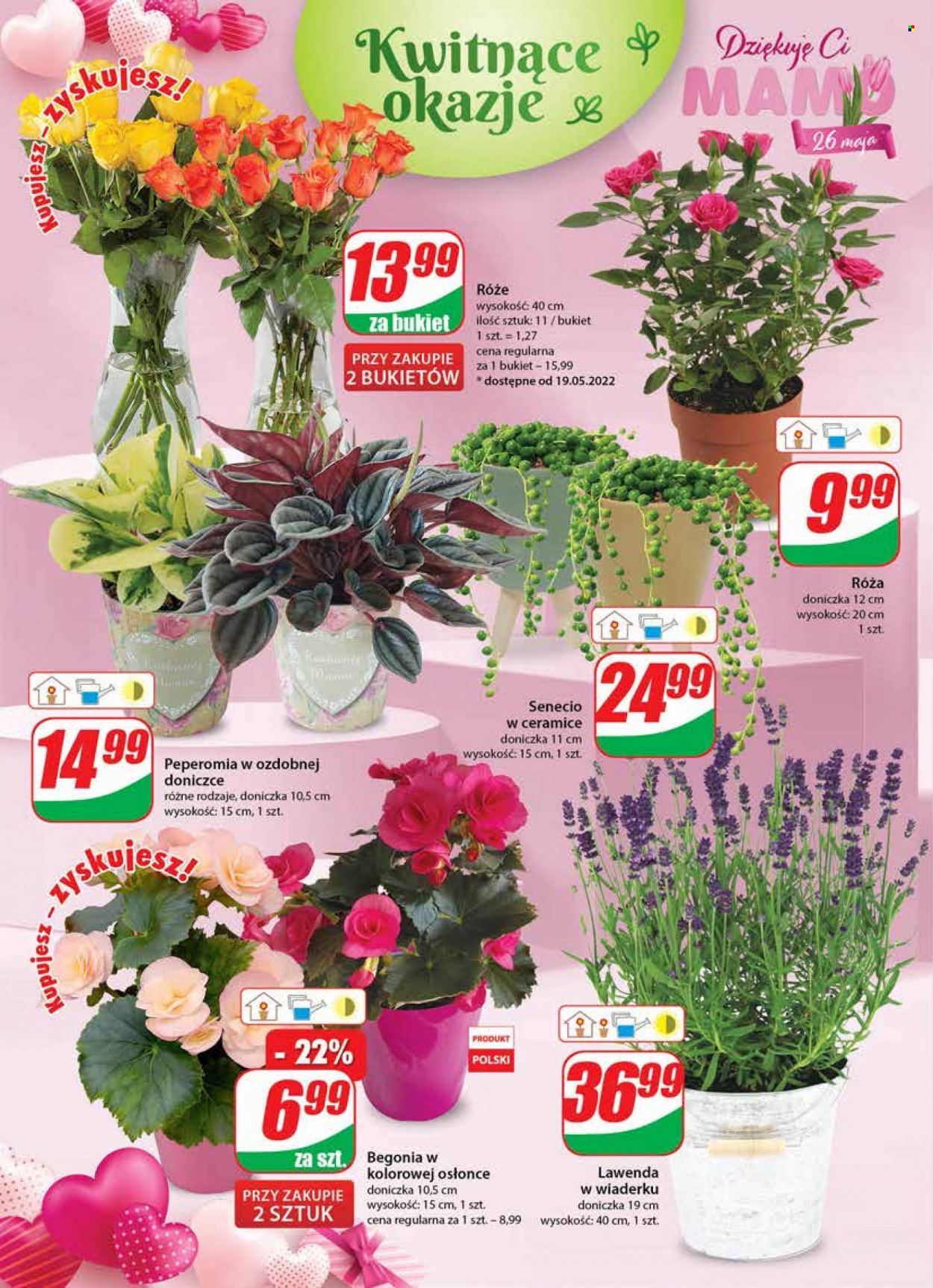 Gazetka Dino - 18.05.2022 - 24.05.2022. Strona 18