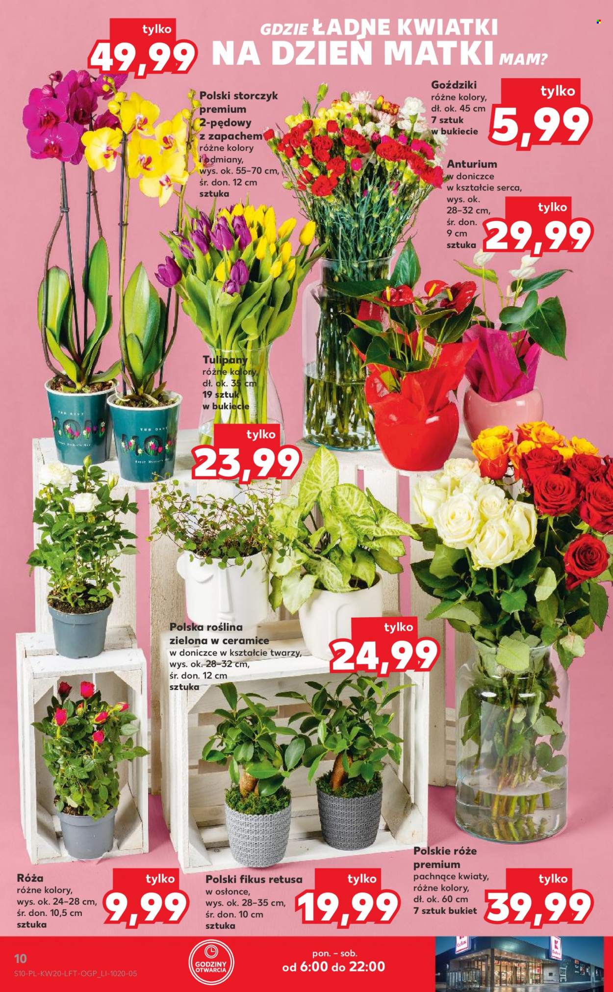 Gazetka Kaufland - 19.05.2022 - 25.05.2022. Strona 10