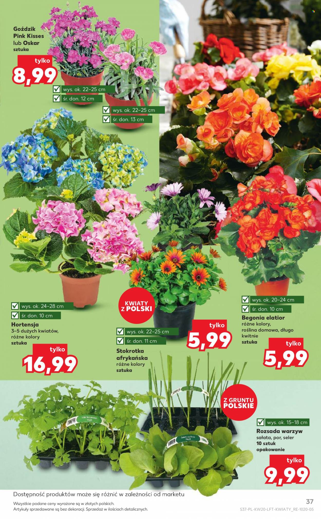 Gazetka Kaufland - 19.05.2022 - 25.05.2022. Strona 37