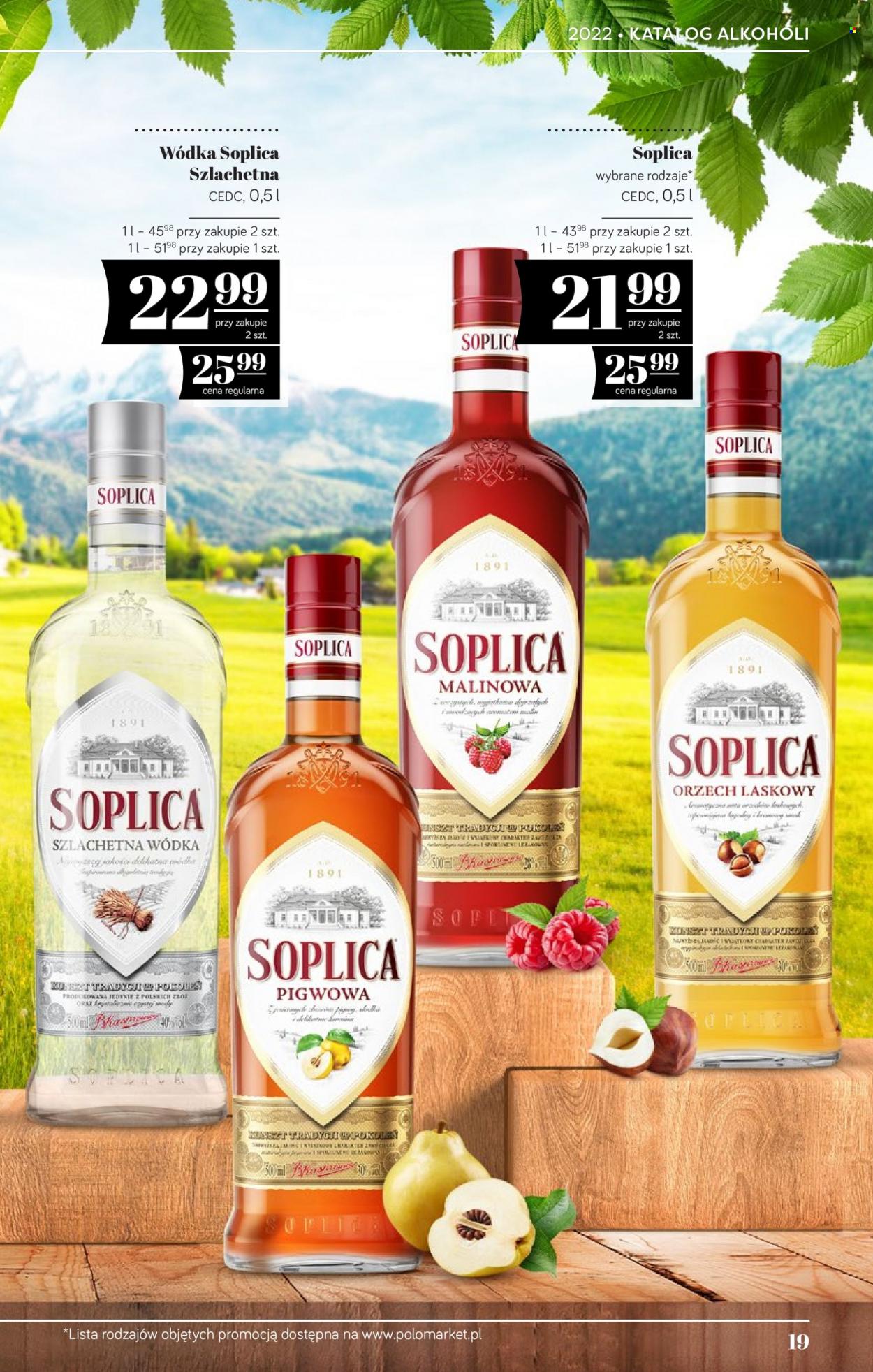 Gazetka Polomarket - 19.05.2022 - 22.06.2022. Strona 19