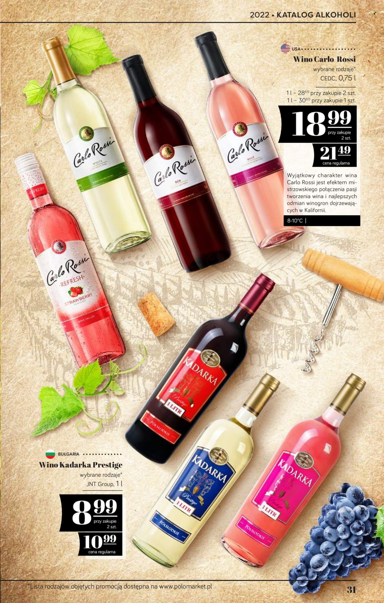 Gazetka Polomarket - 19.05.2022 - 22.06.2022. Strona 31