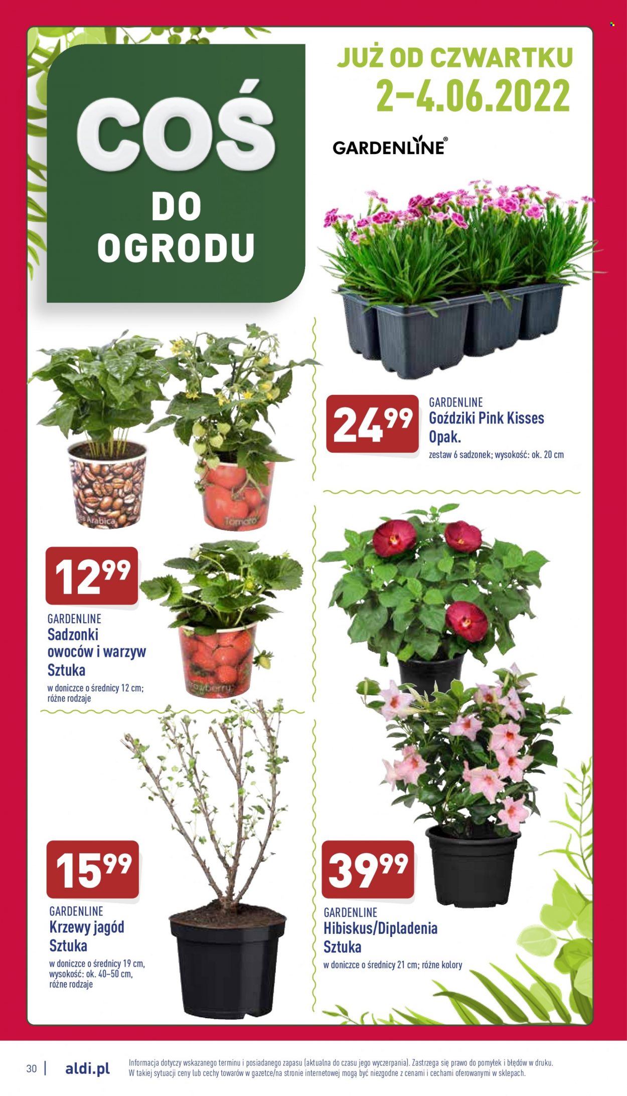 Gazetka ALDI - 30.05.2022 - 4.06.2022. Strona 30