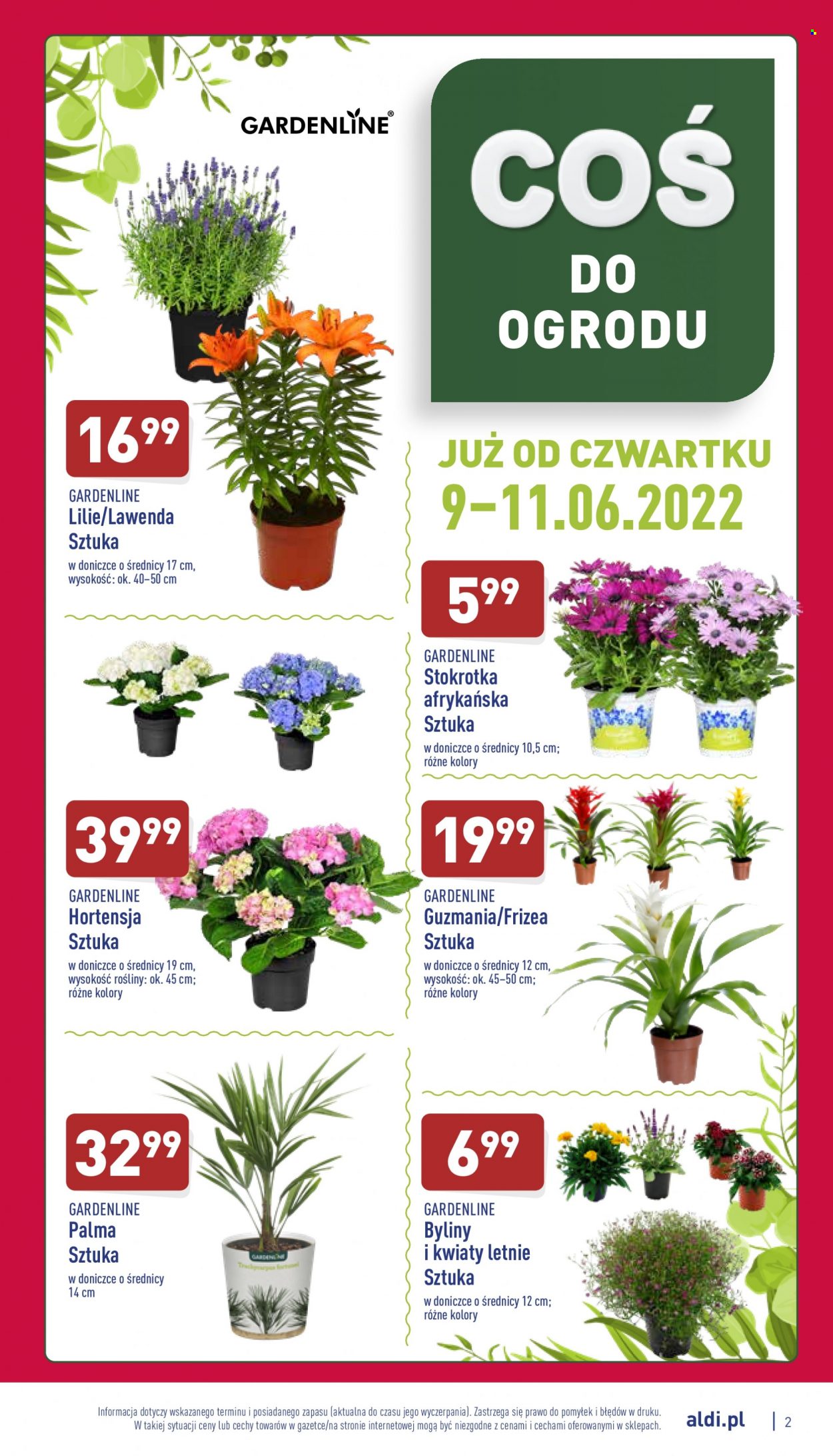 Gazetka ALDI - 8.06.2022 - 11.06.2022. Strona 2
