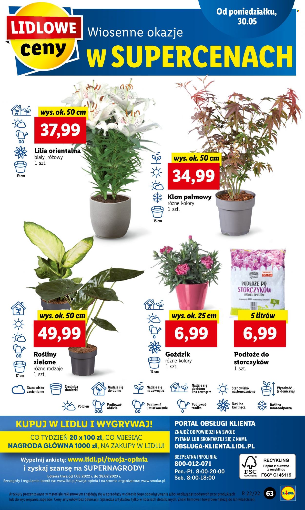 Gazetka Lidl - 30.05.2022 - 1.06.2022. Strona 63