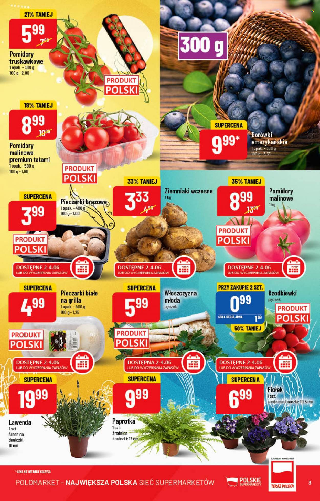 Gazetka Polomarket - 1.06.2022 - 7.06.2022. Strona 3