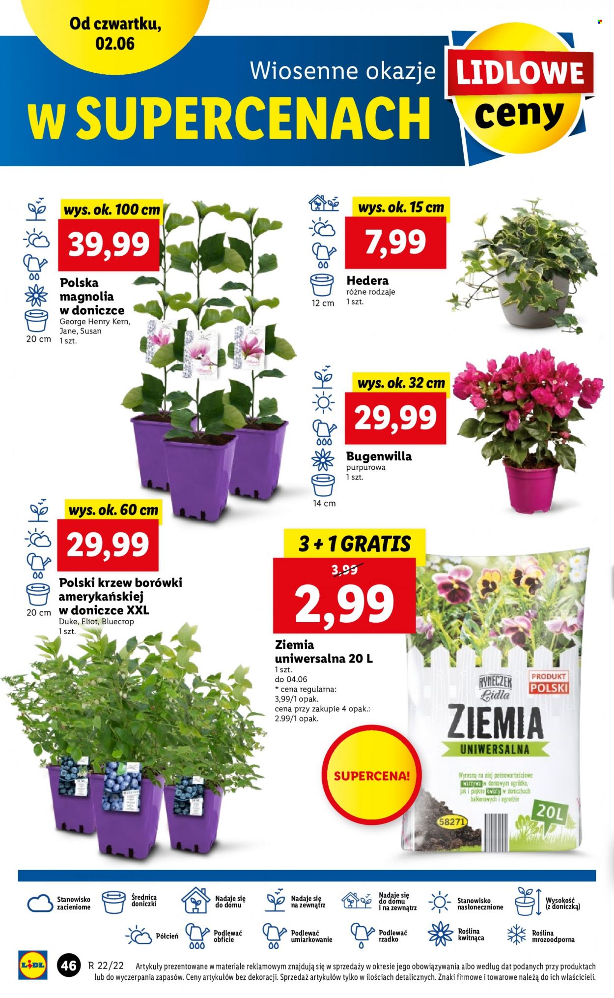 Gazetka Lidl - 2.06.2022 - 4.06.2022. Strona 46