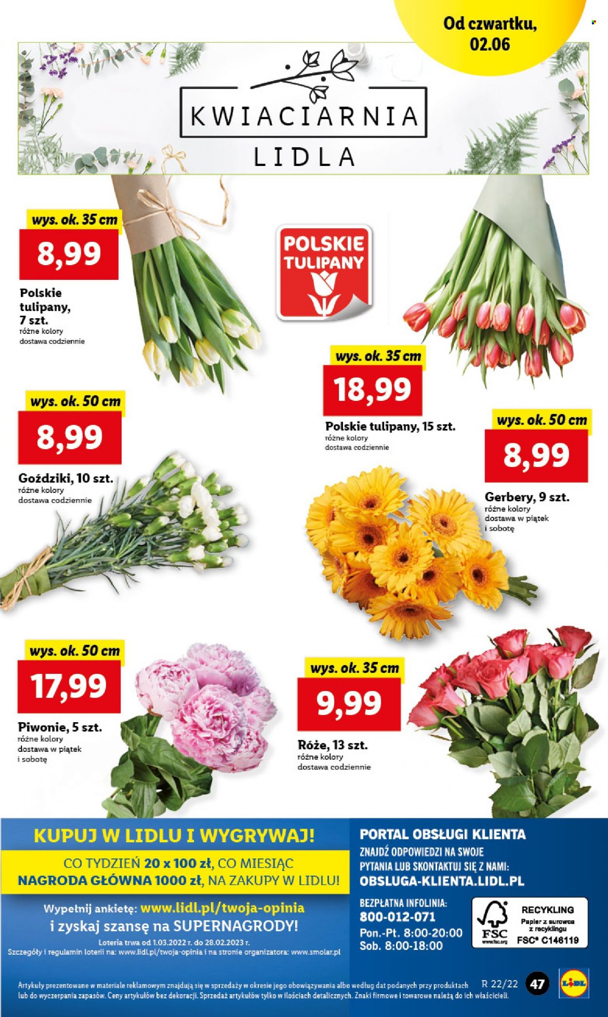 Gazetka Lidl - 2.06.2022 - 4.06.2022. Strona 47