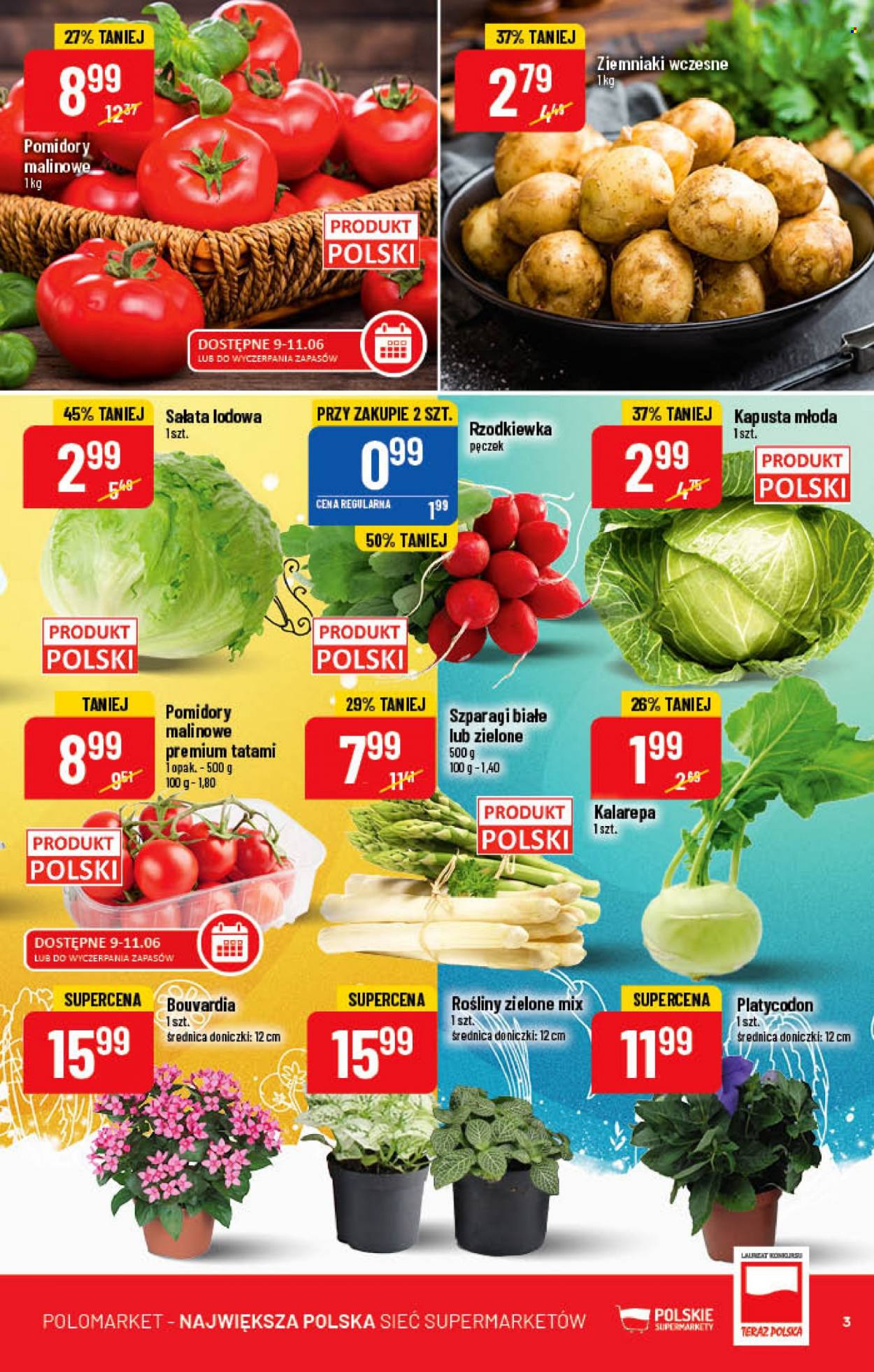 Gazetka Polomarket - 8.06.2022 - 14.06.2022. Strona 3