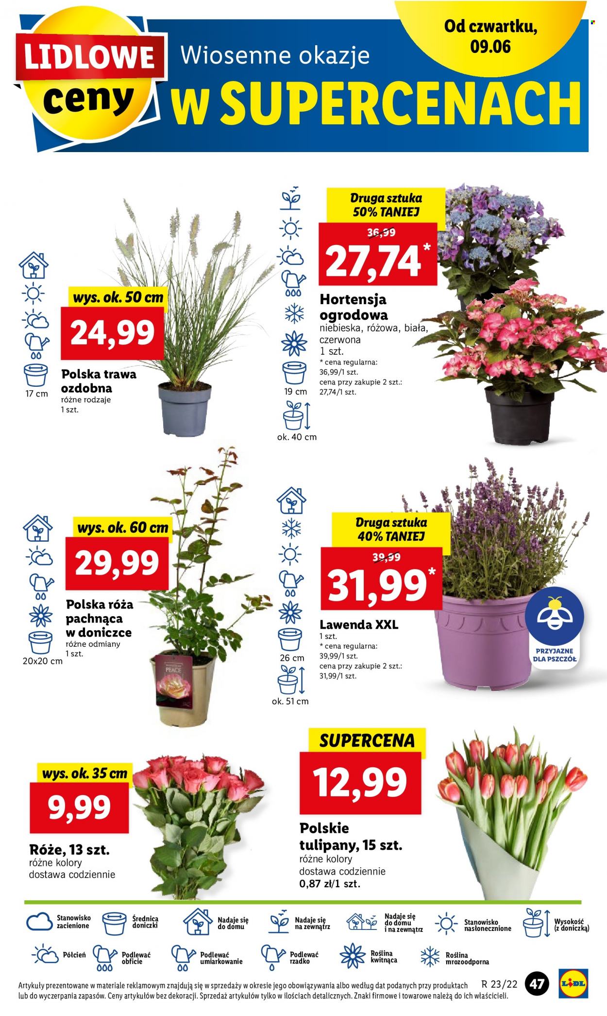 Gazetka Lidl - 9.06.2022 - 11.06.2022. Strona 47