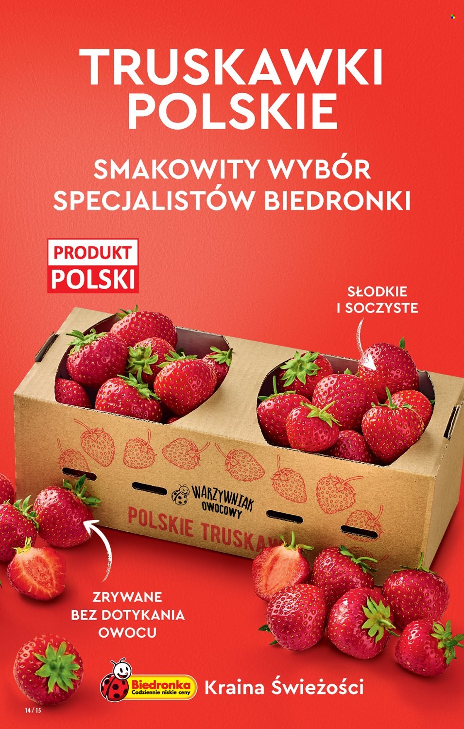 Gazetka Biedronka - 9.06.2022 - 15.06.2022. Strona 14