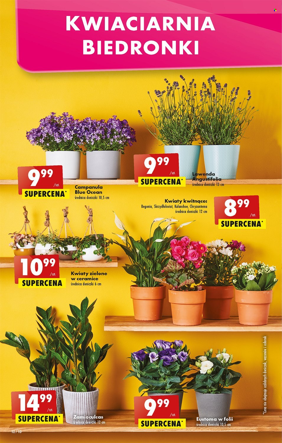 Gazetka Biedronka - 13.06.2022 - 18.06.2022. Strona 12
