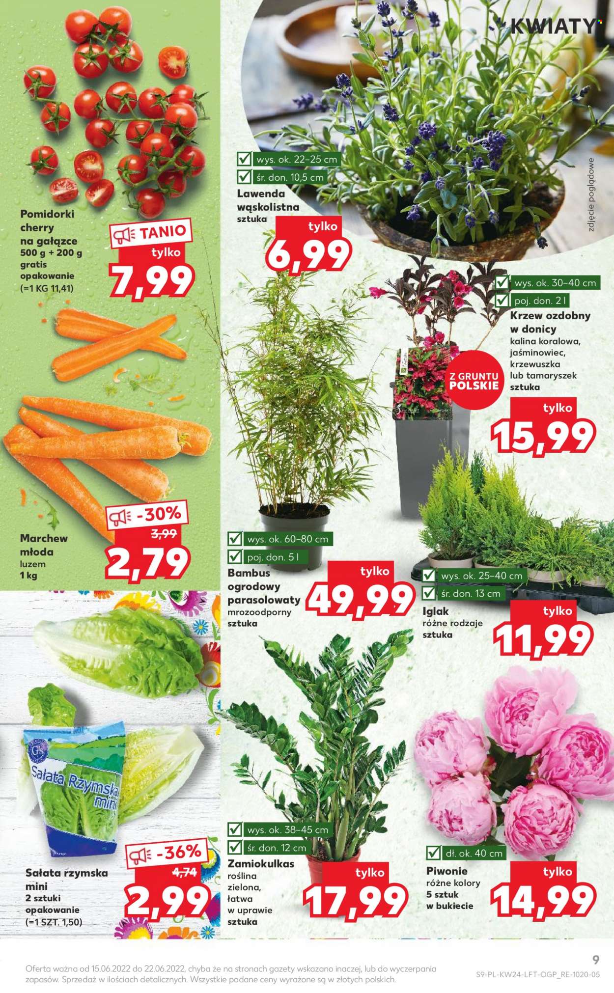Gazetka Kaufland - 15.06.2022 - 22.06.2022. Strona 9