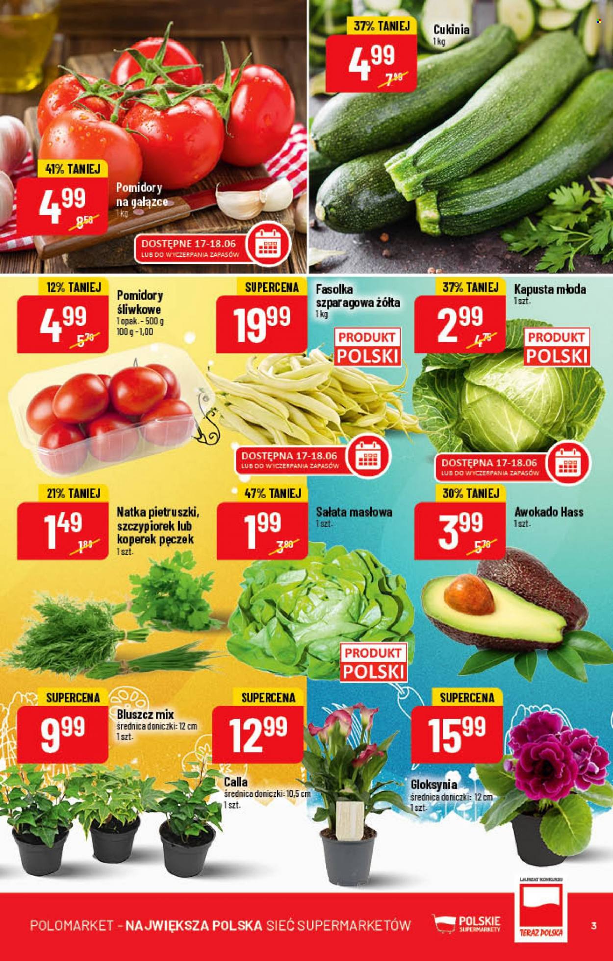 Gazetka Polomarket - 15.06.2022 - 21.06.2022. Strona 3