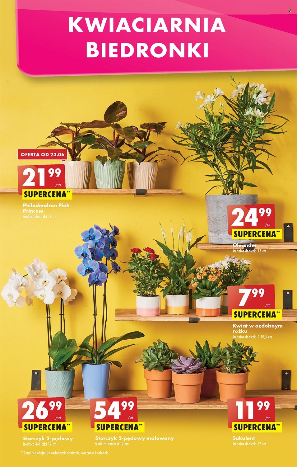 Gazetka Biedronka - 20.06.2022 - 26.06.2022. Strona 53