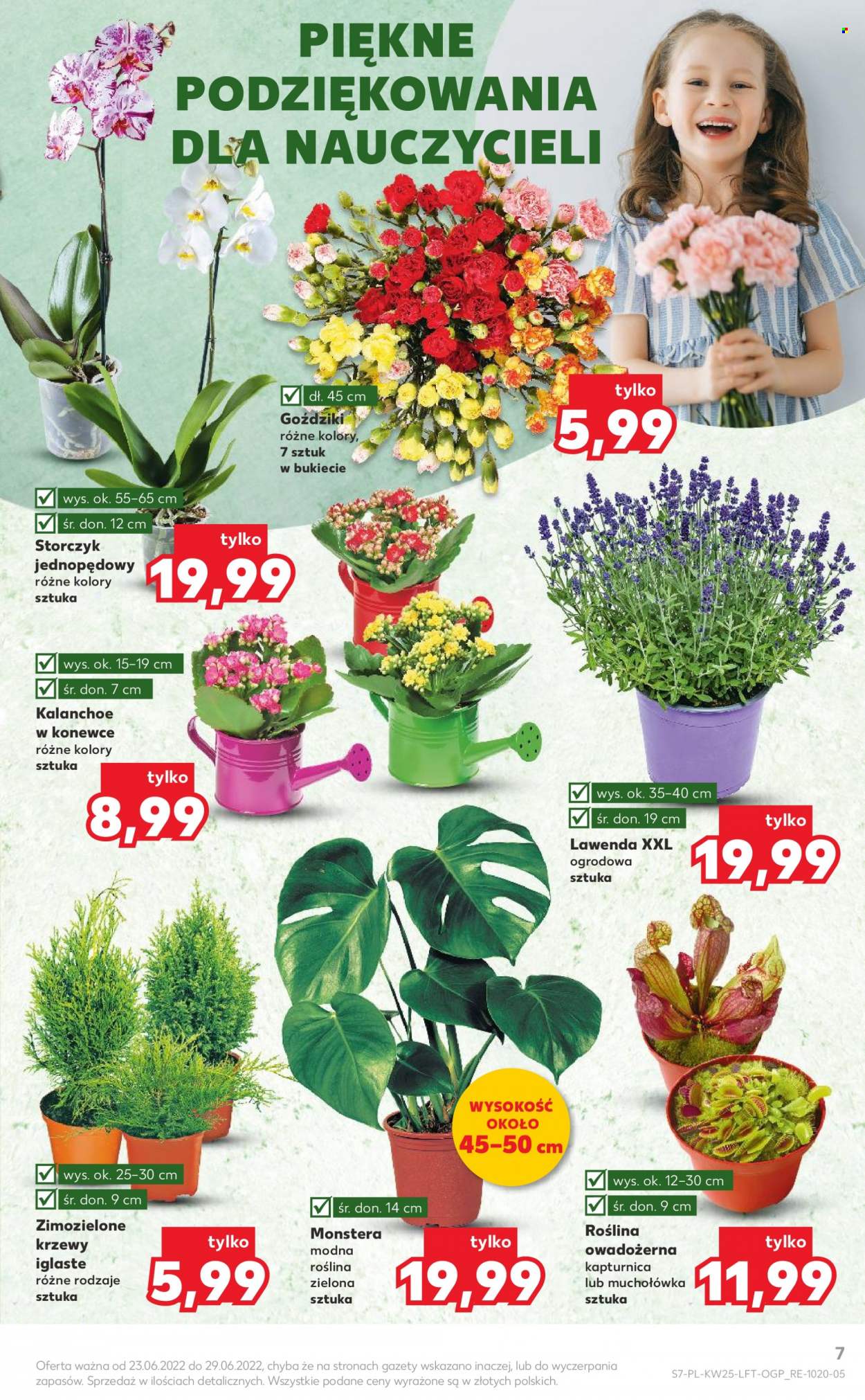 Gazetka Kaufland - 23.06.2022 - 29.06.2022. Strona 7