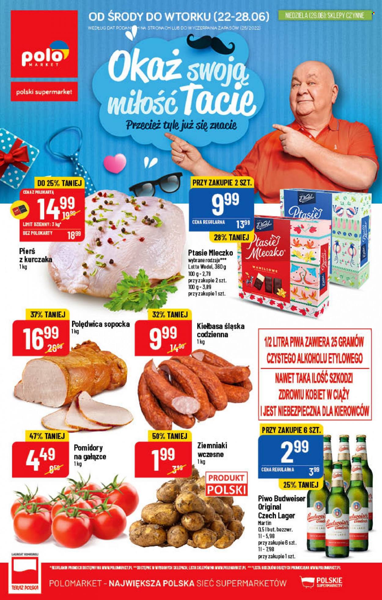 Gazetka Polomarket - 22.06.2022 - 28.06.2022. Strona 1