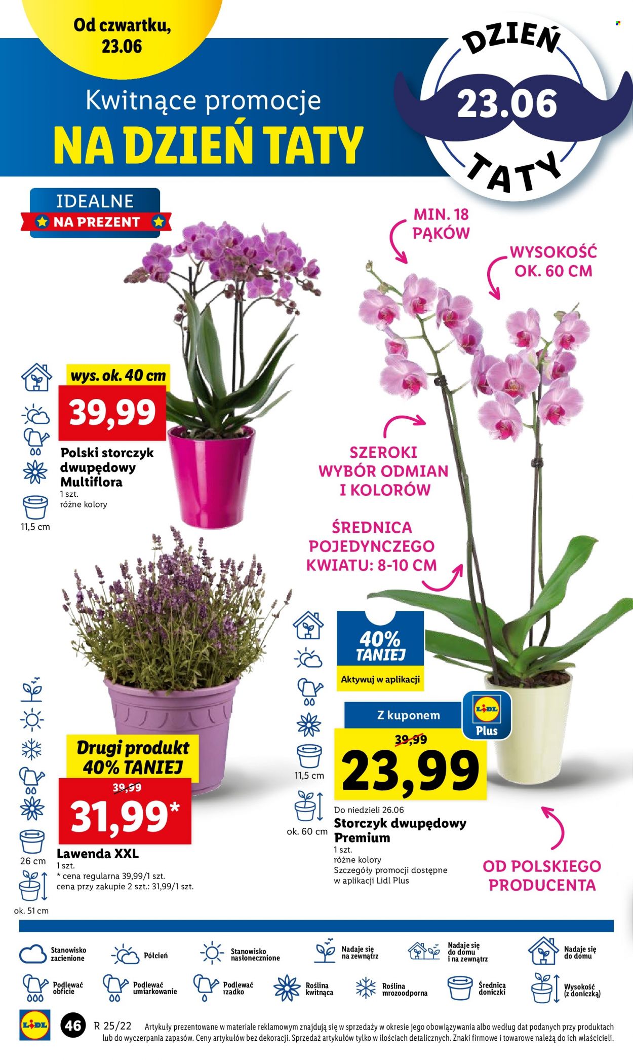 Gazetka Lidl - 23.06.2022 - 26.06.2022. Strona 46